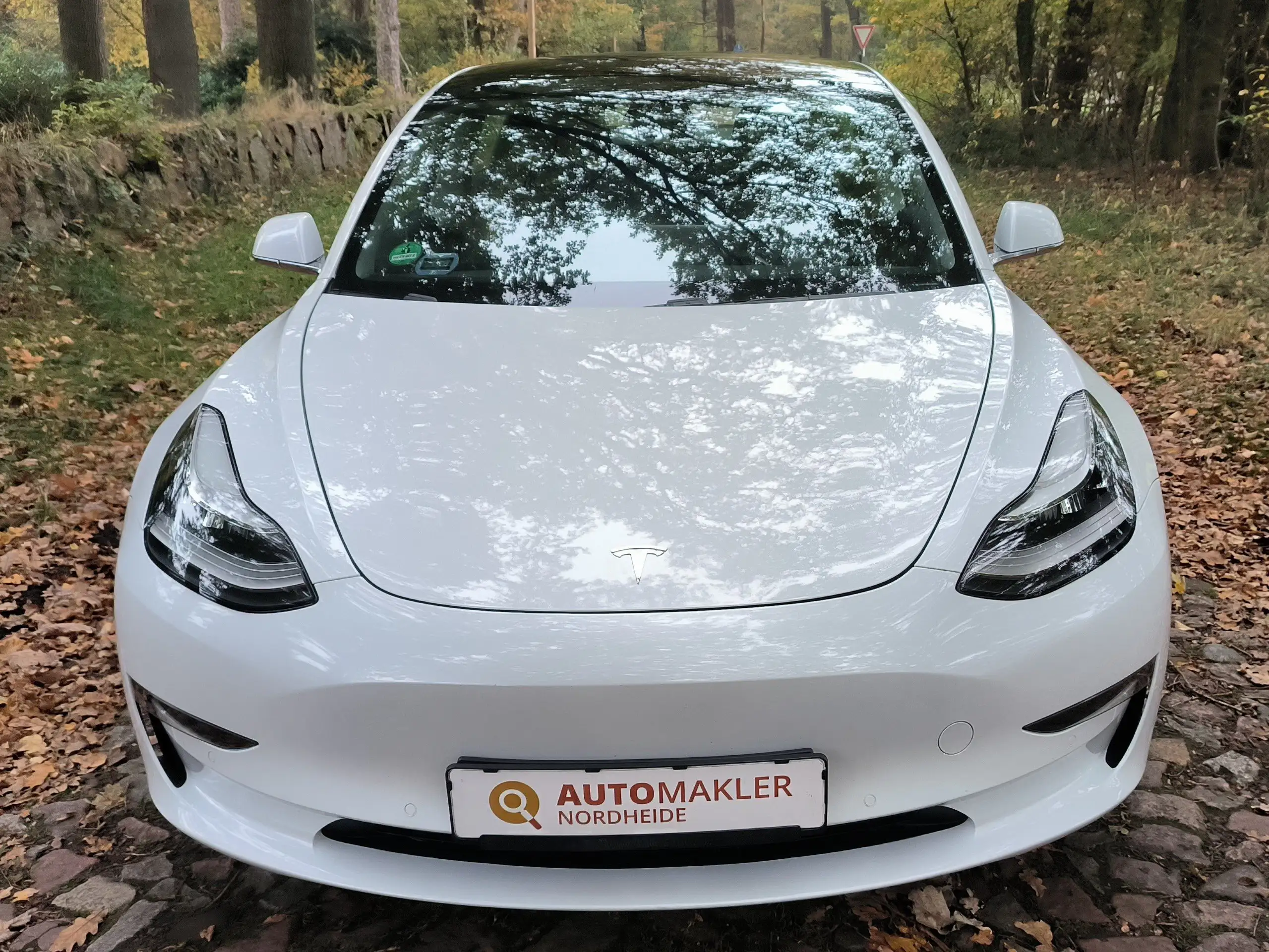 Tesla - Model 3