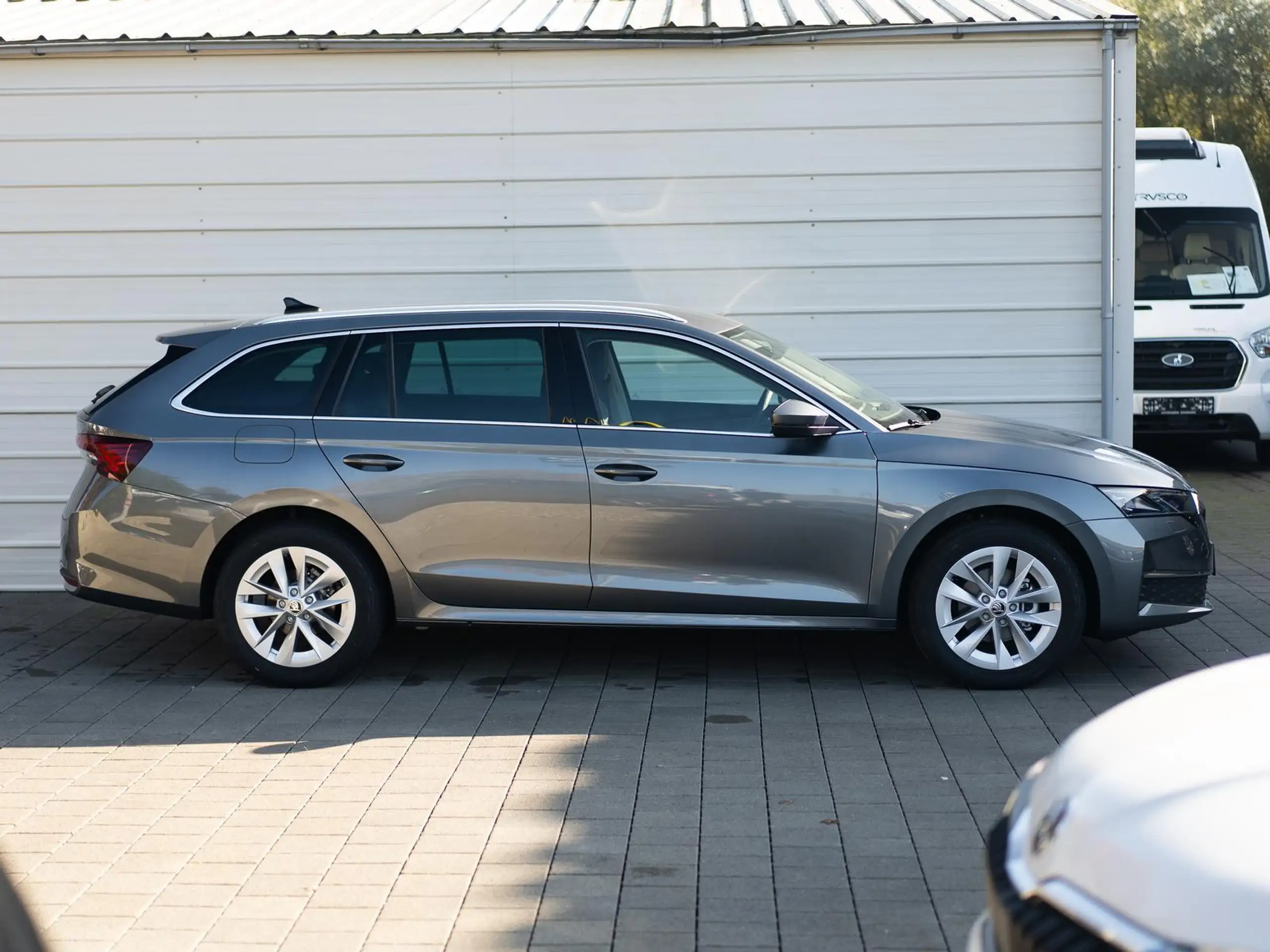 Skoda - Octavia