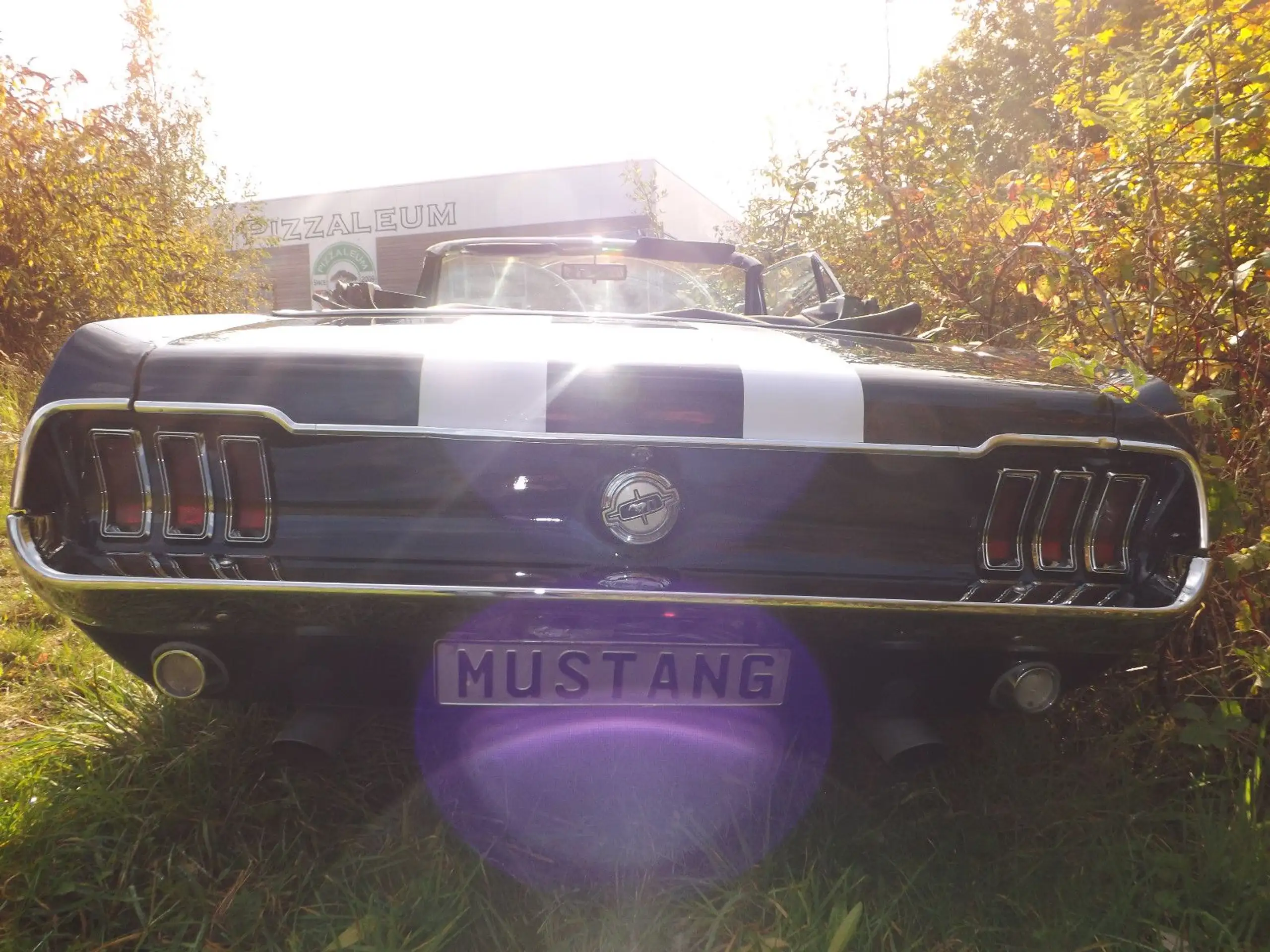 Ford - Mustang