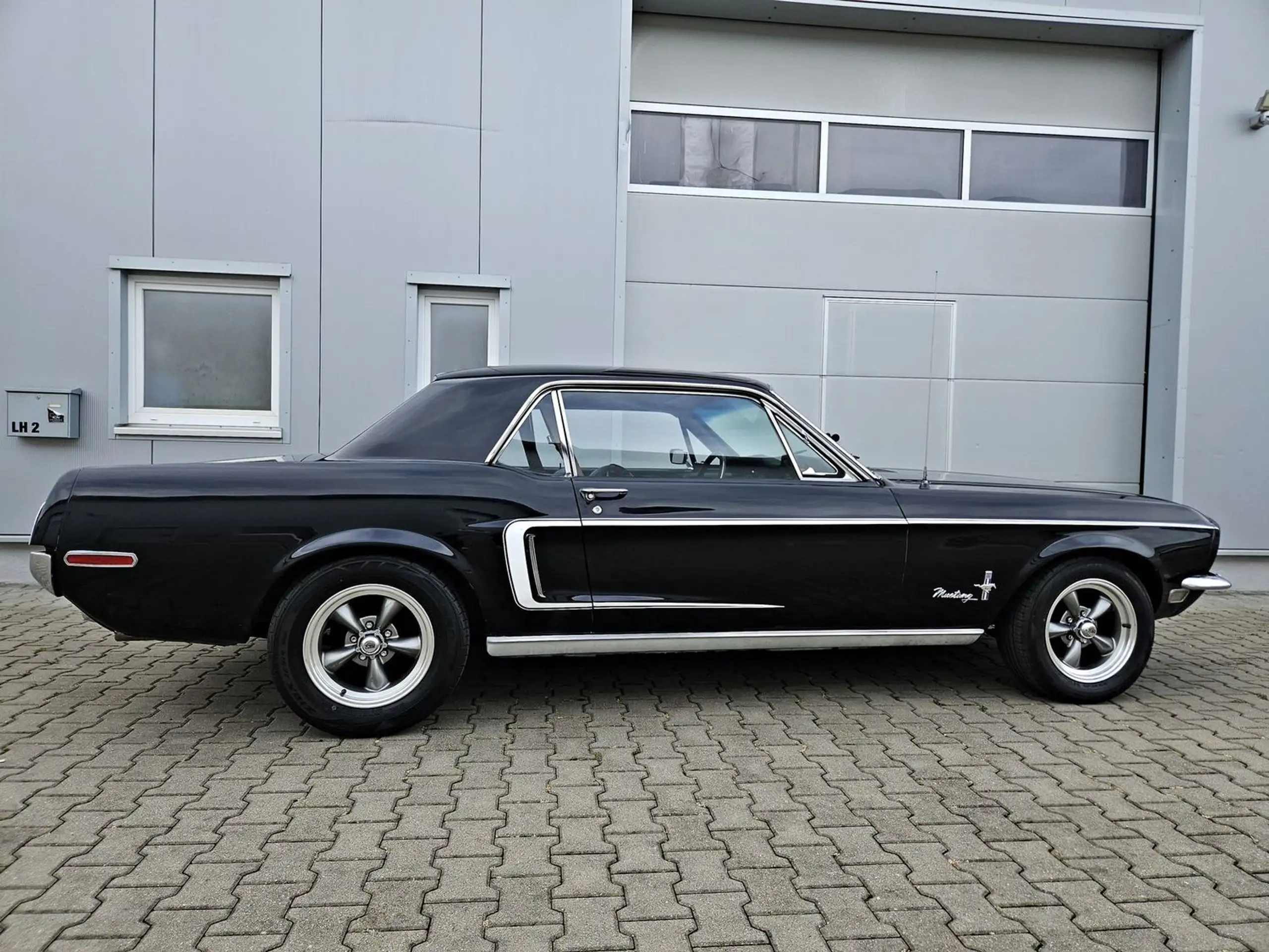 Ford - Mustang