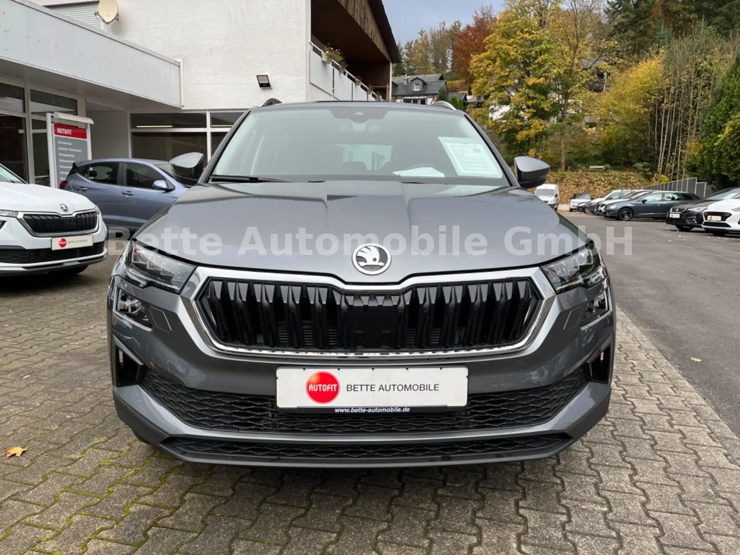 Skoda - Karoq