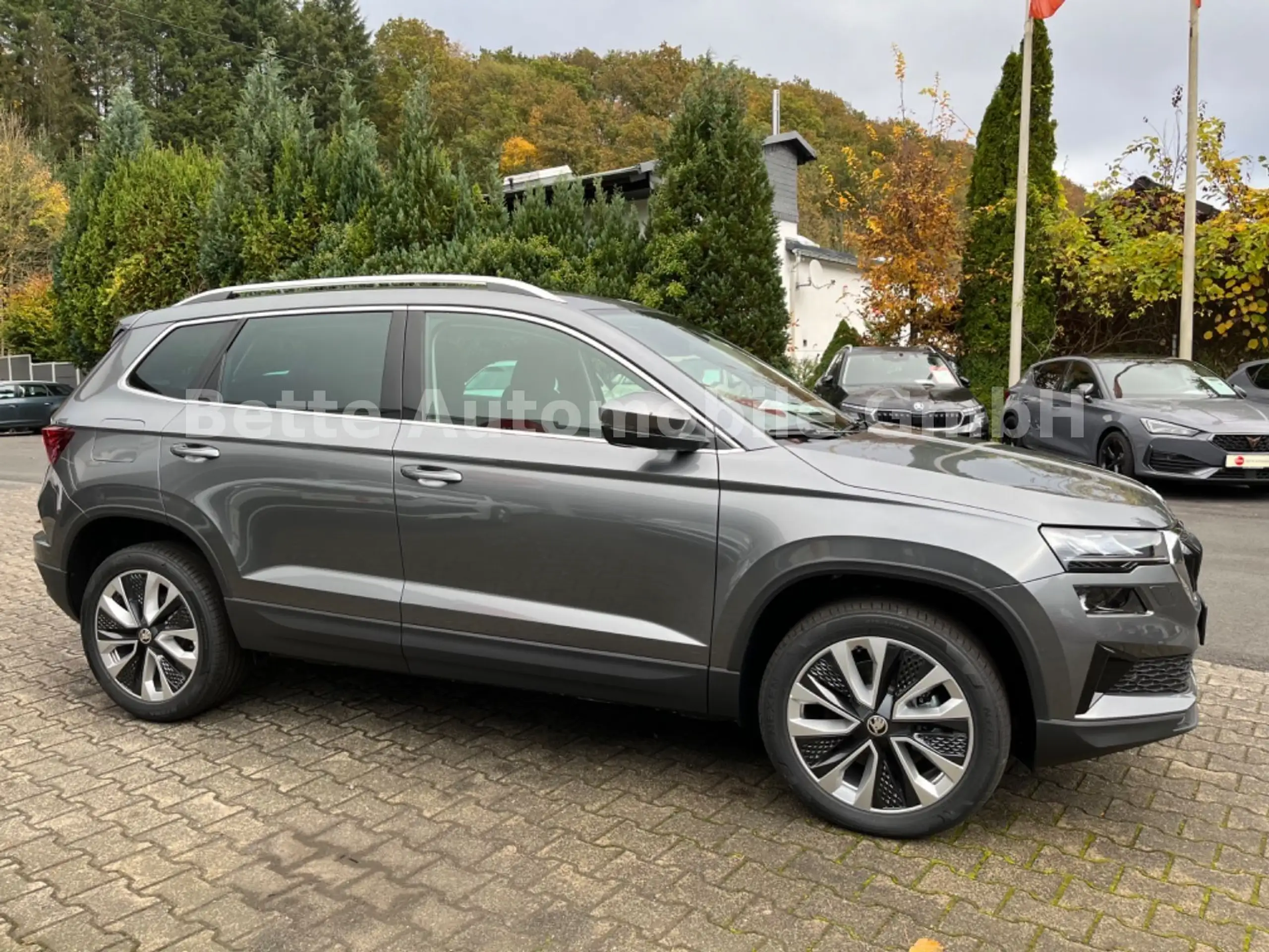 Skoda - Karoq