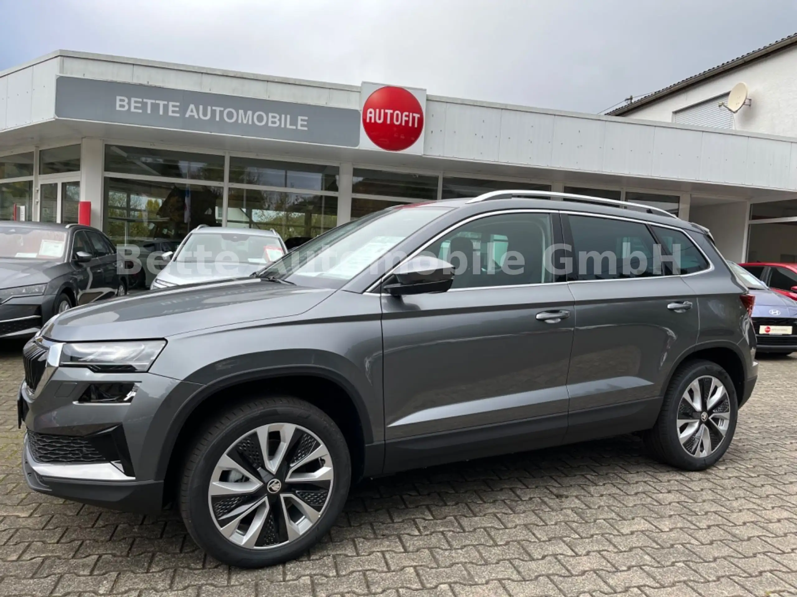 Skoda - Karoq