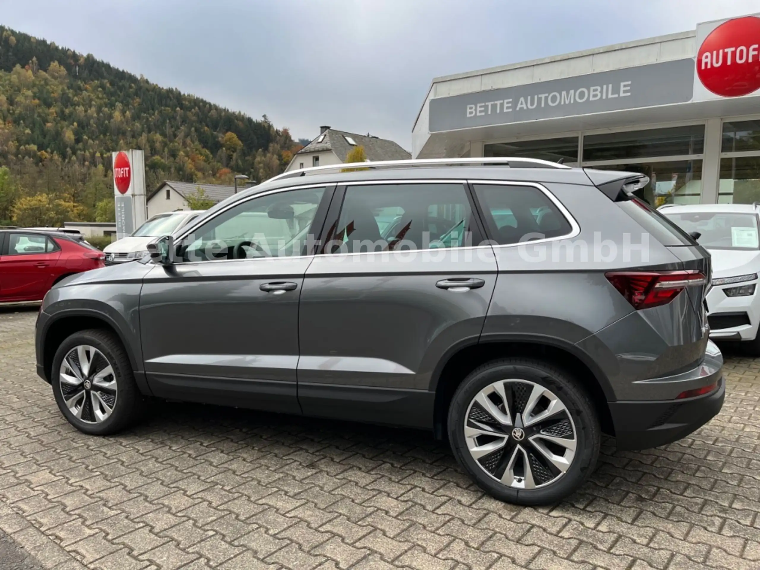 Skoda - Karoq