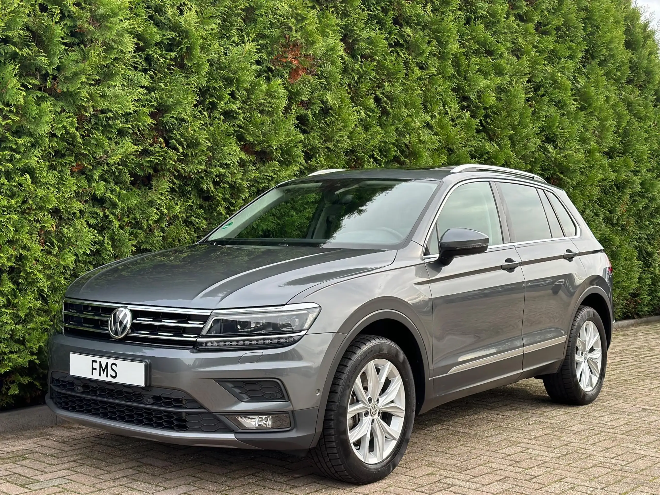 Volkswagen - Tiguan