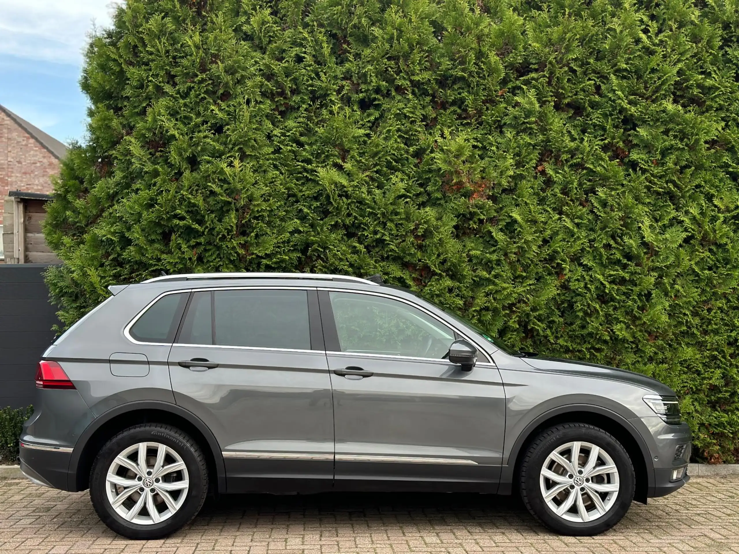 Volkswagen - Tiguan