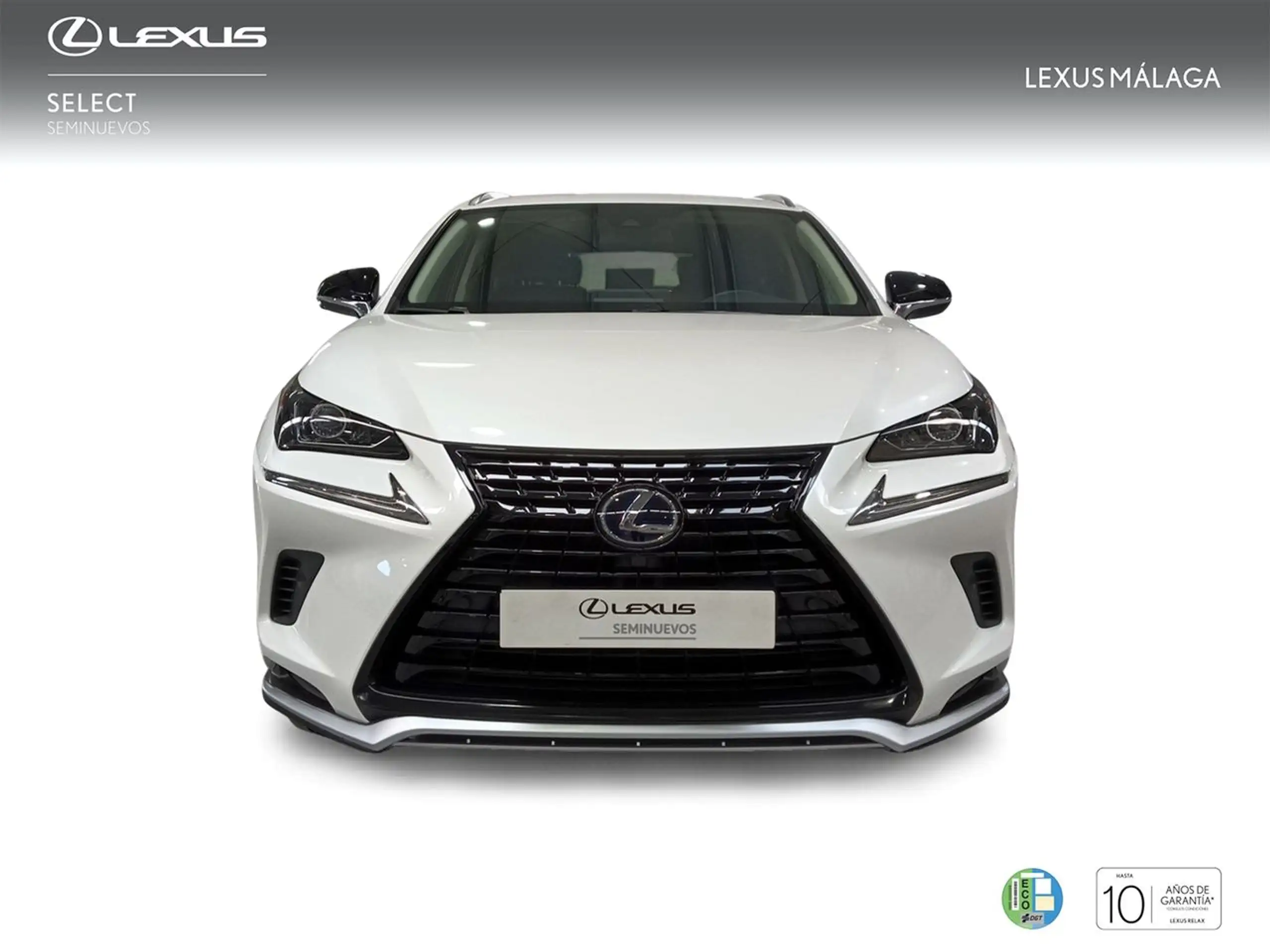 Lexus - NX 300h