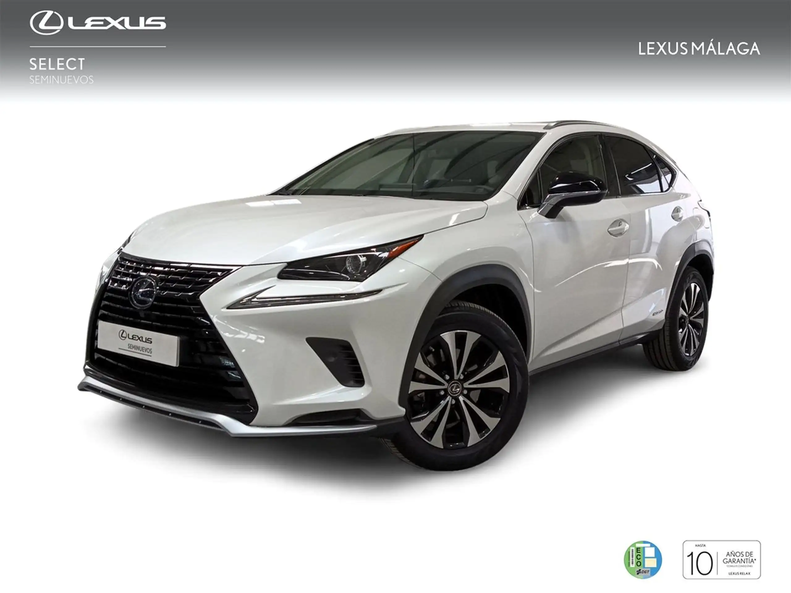 Lexus - NX 300h