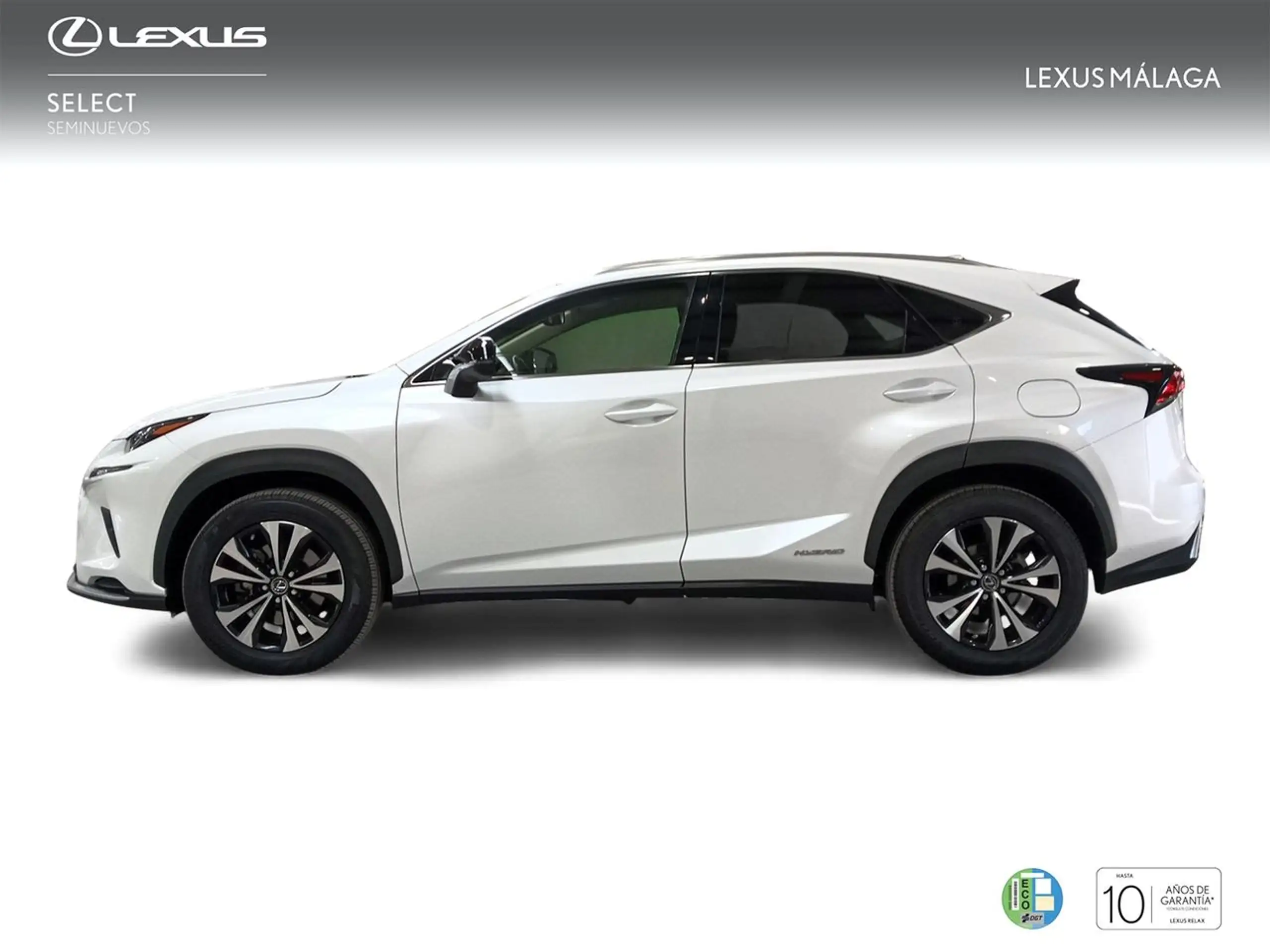 Lexus - NX 300h