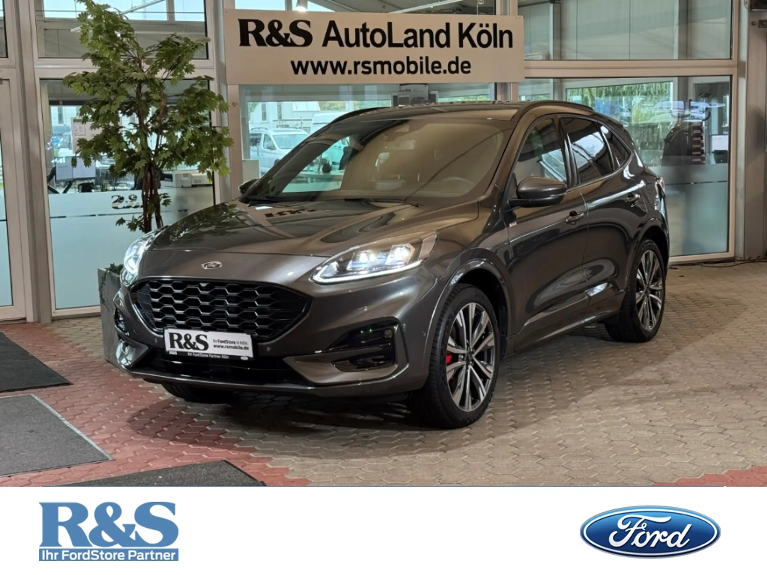 Ford - Kuga