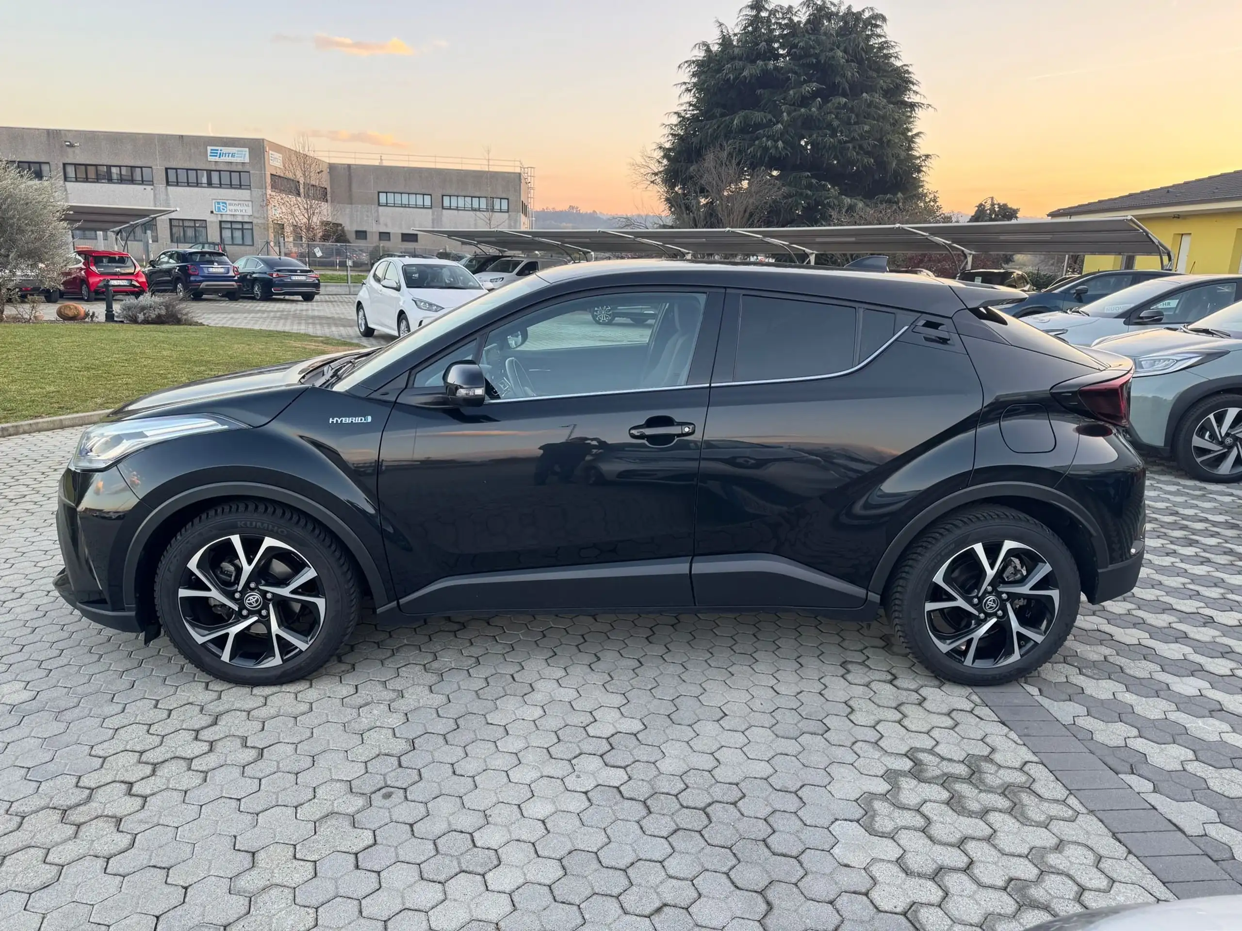 Toyota - C-HR