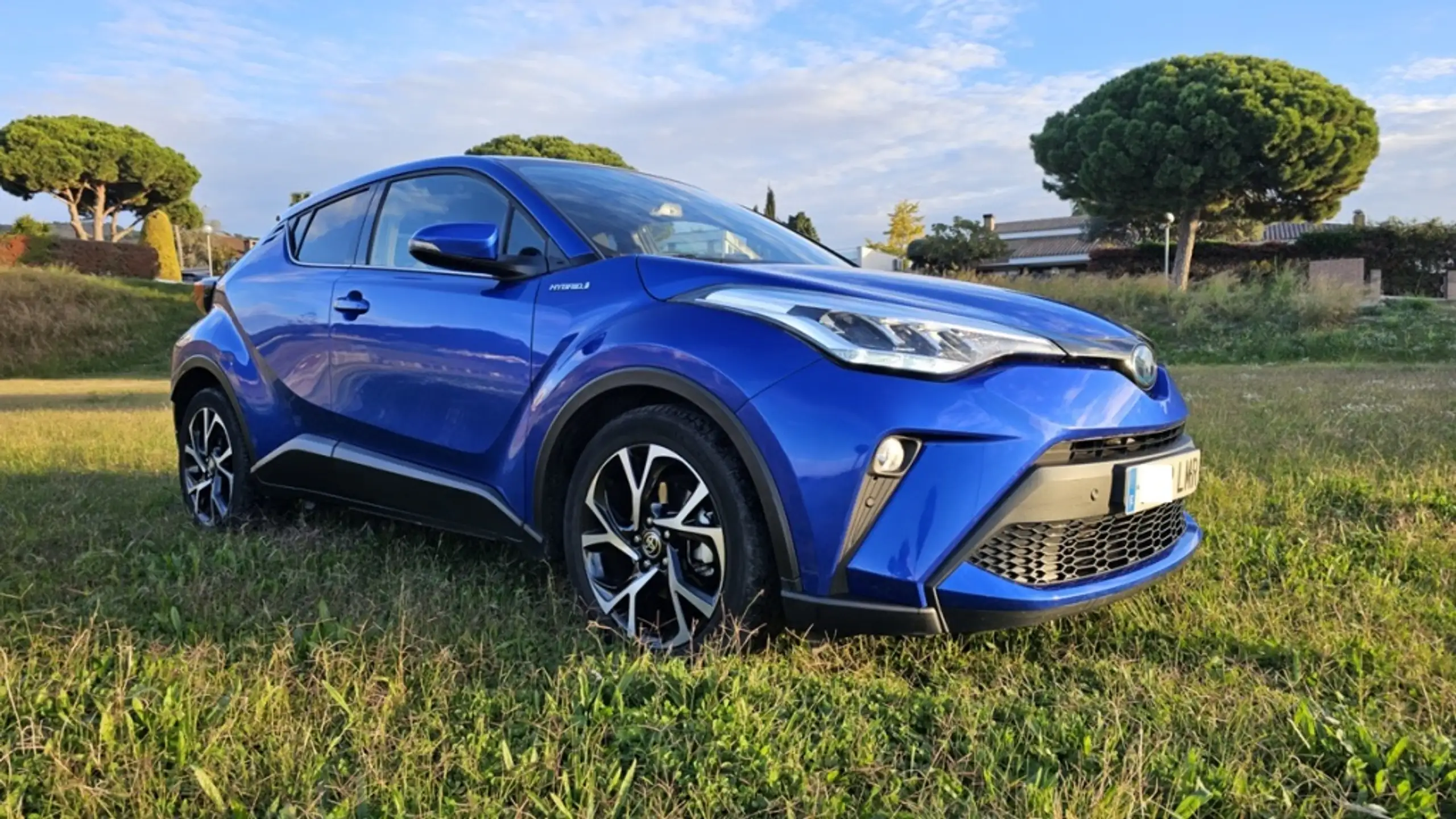 Toyota - C-HR