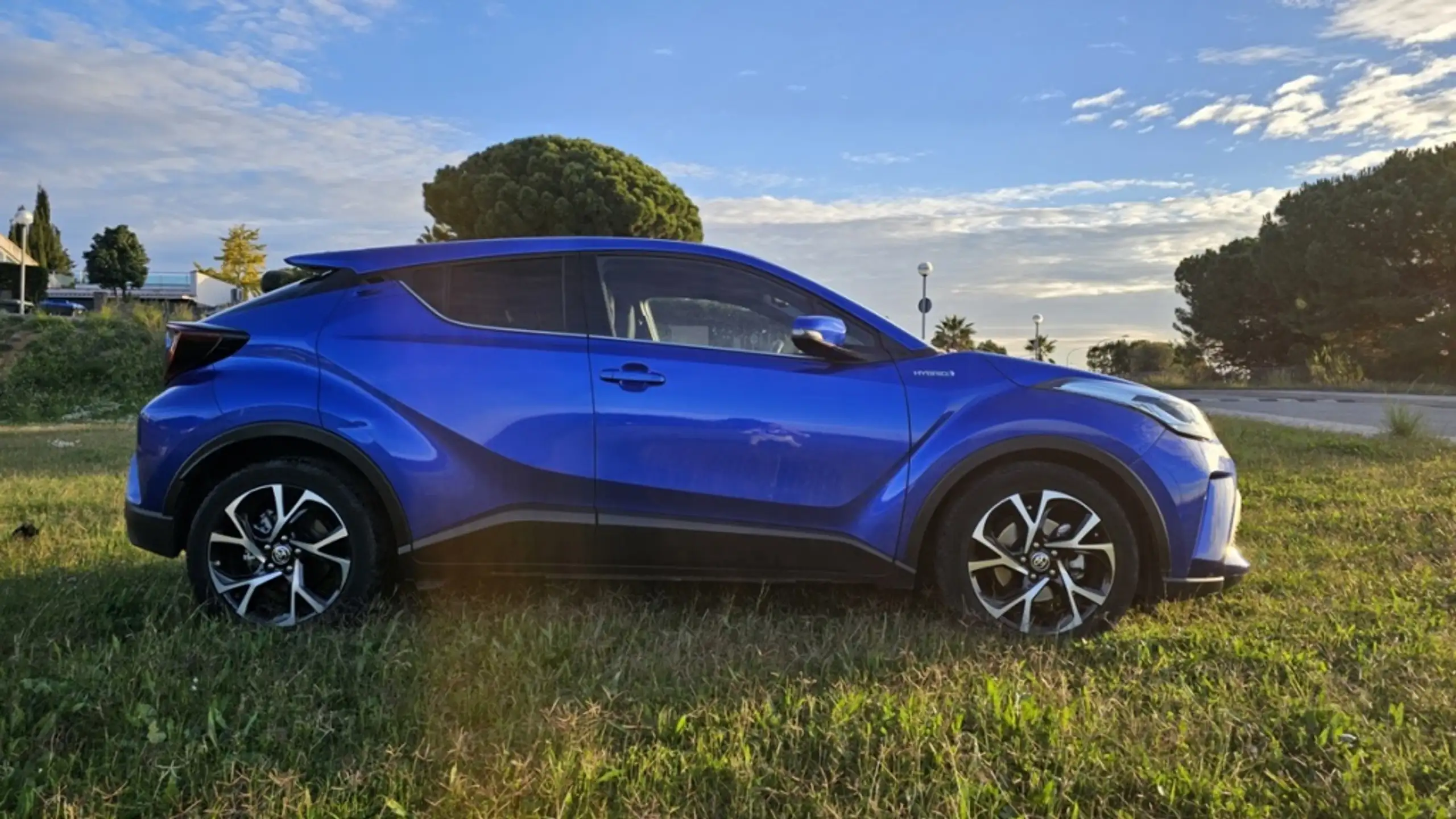 Toyota - C-HR