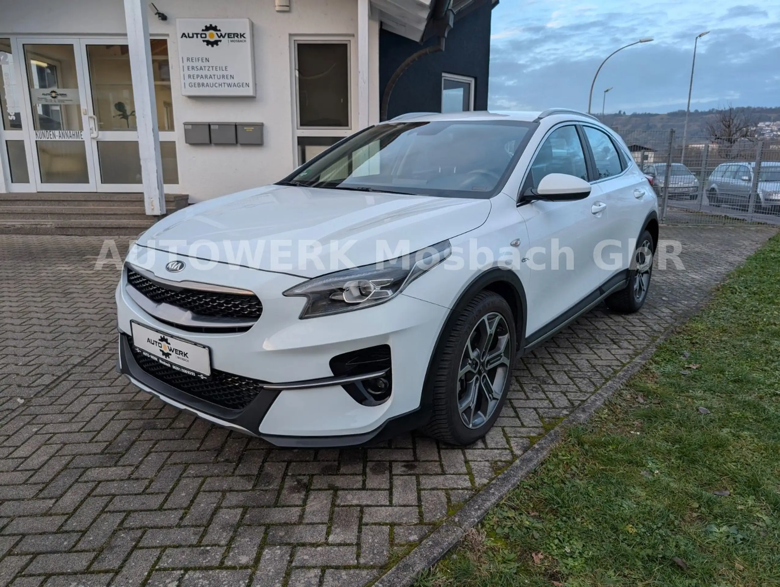 Kia - XCeed