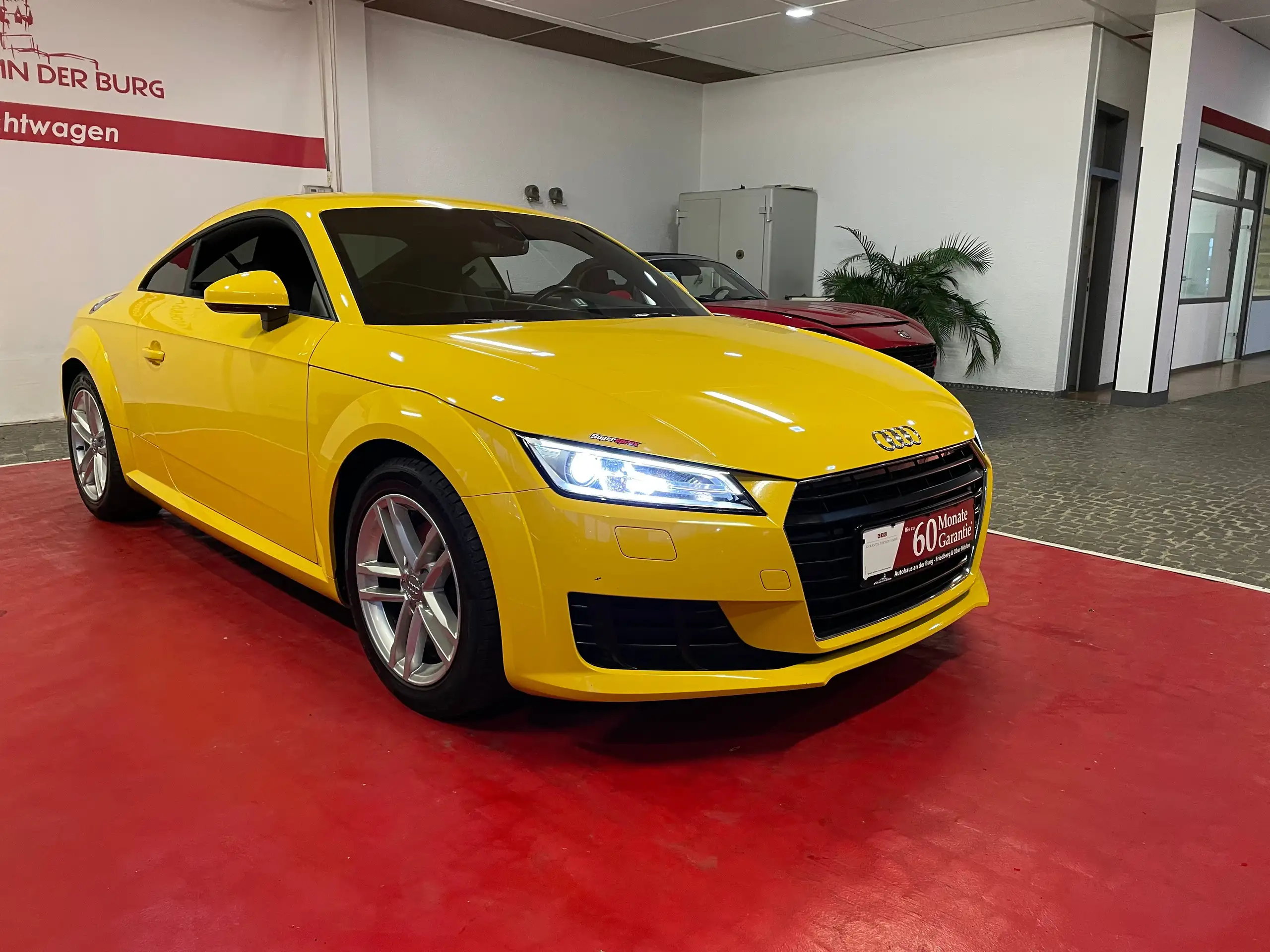 Audi - TT