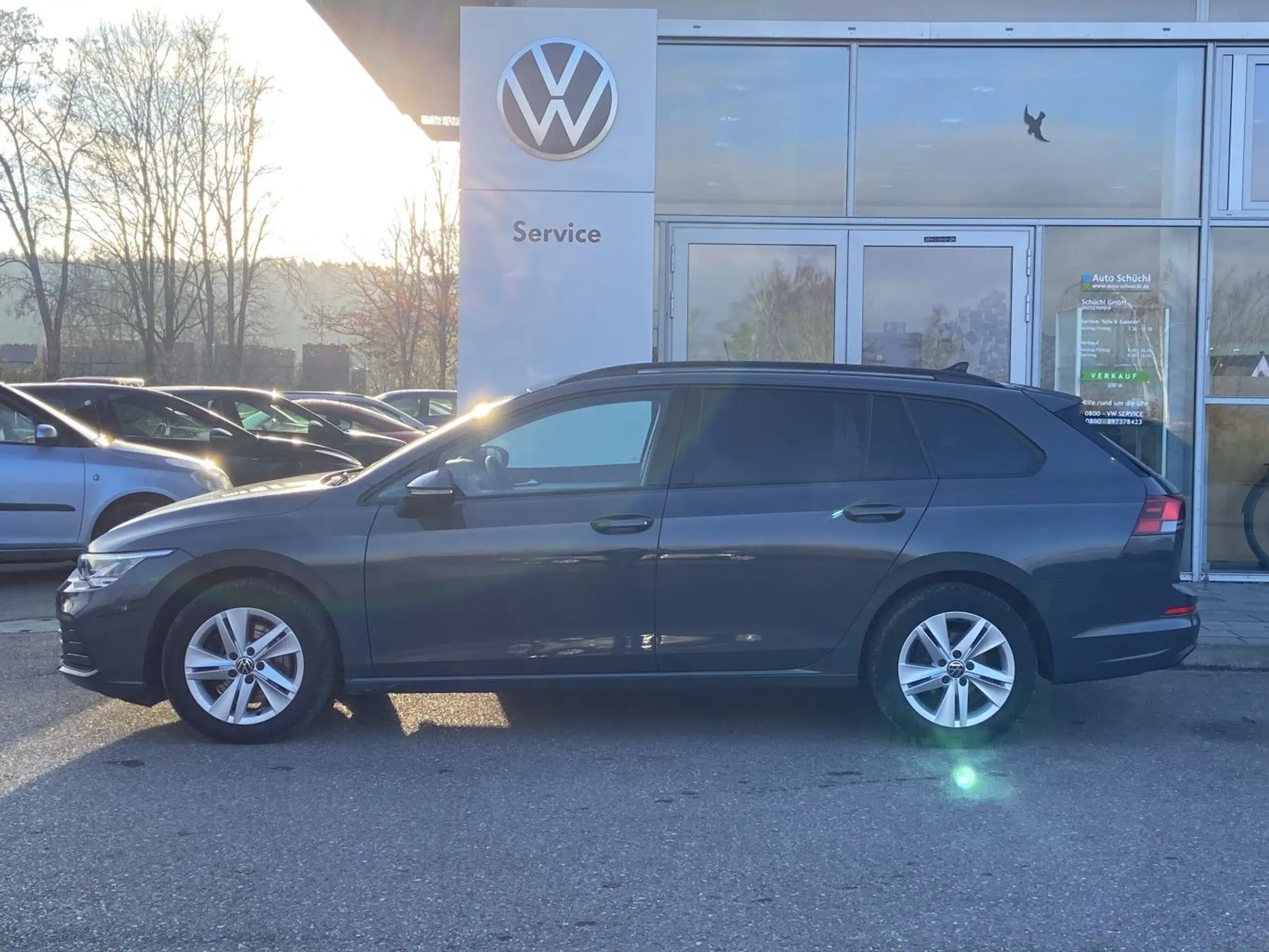 Volkswagen - Golf