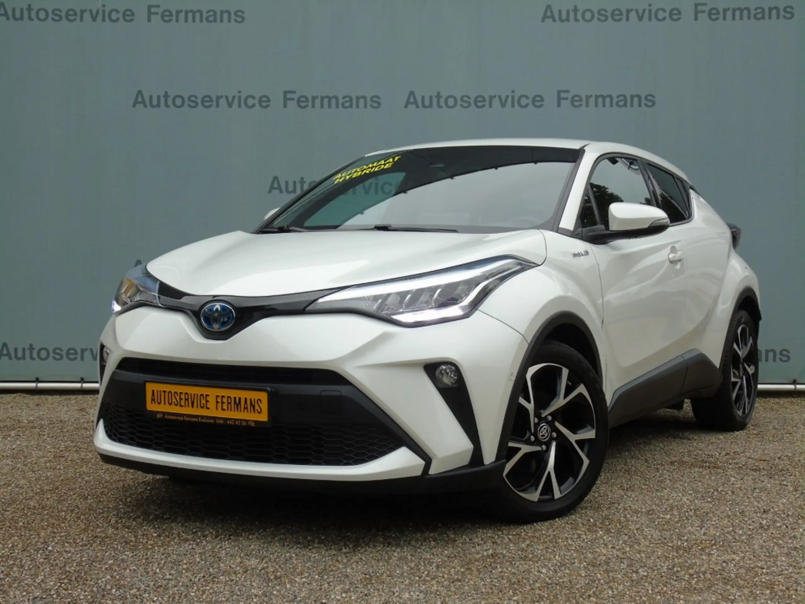 Toyota - C-HR