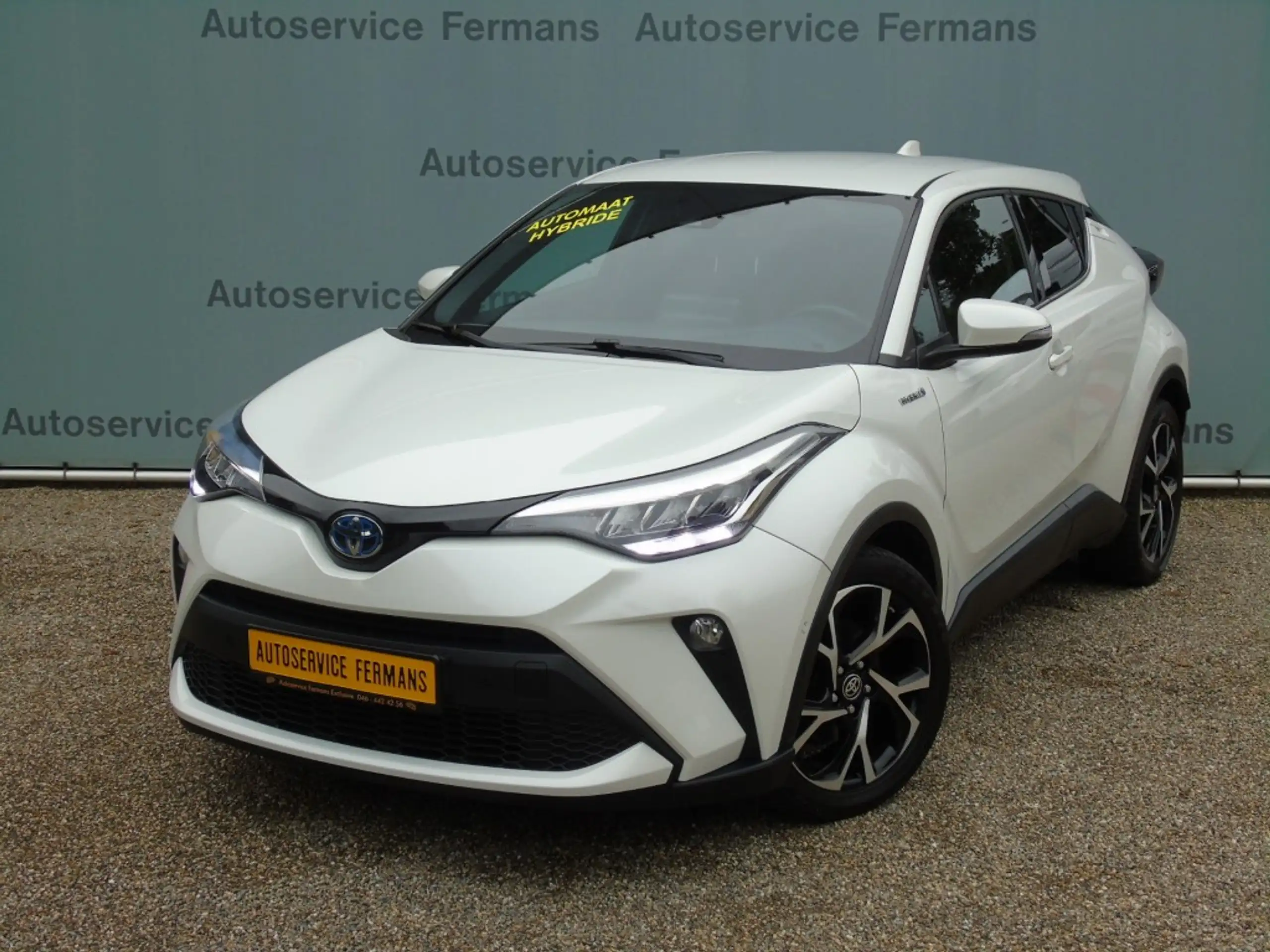 Toyota - C-HR