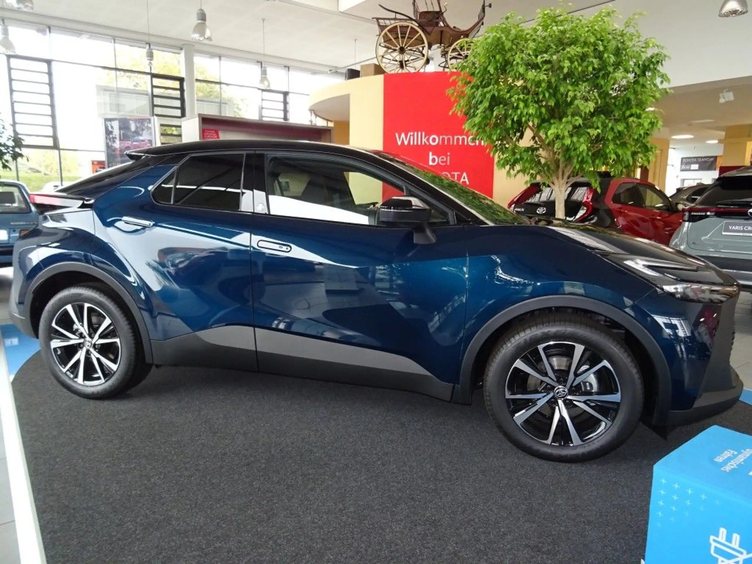 Toyota - C-HR