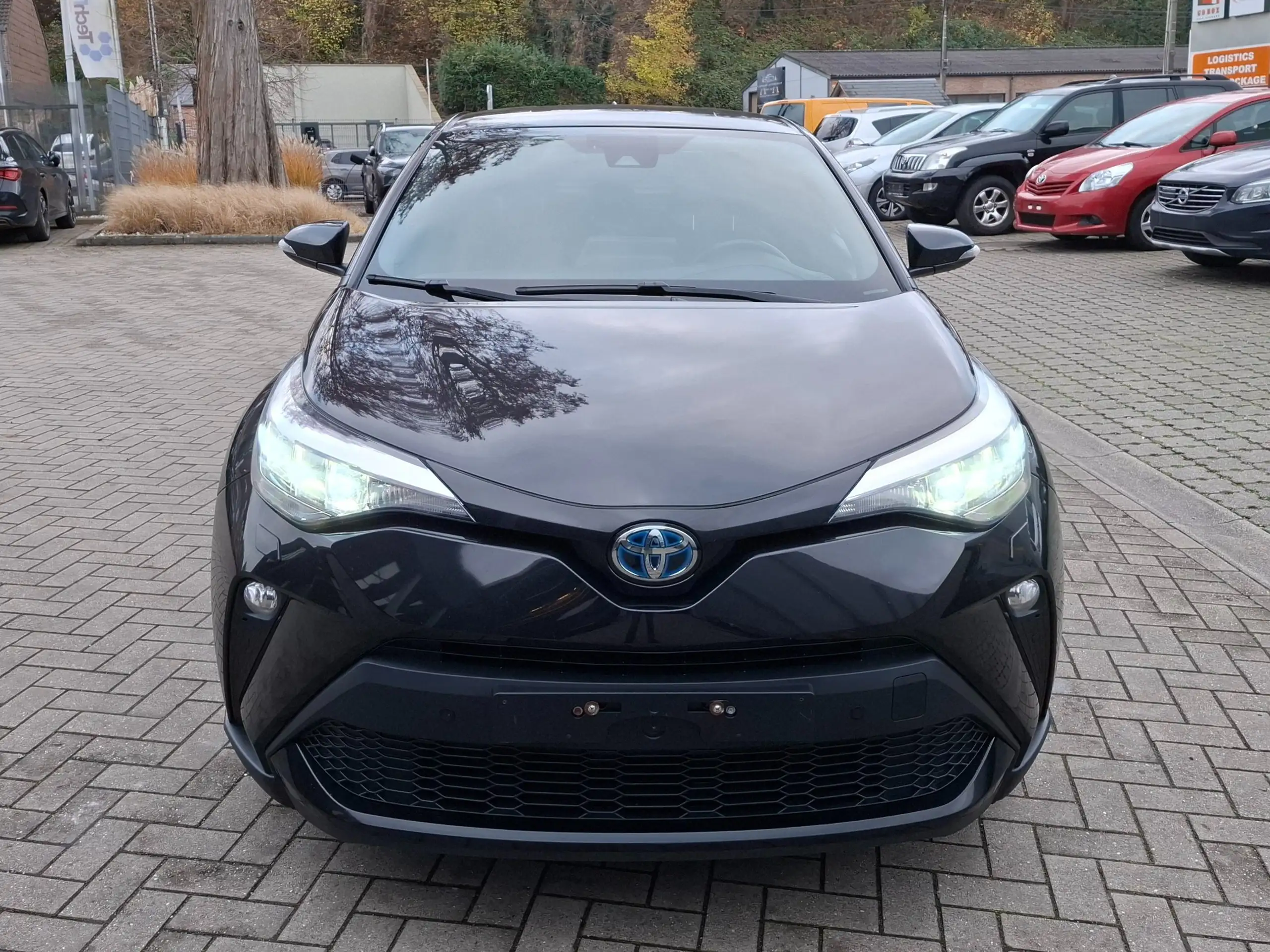 Toyota - C-HR