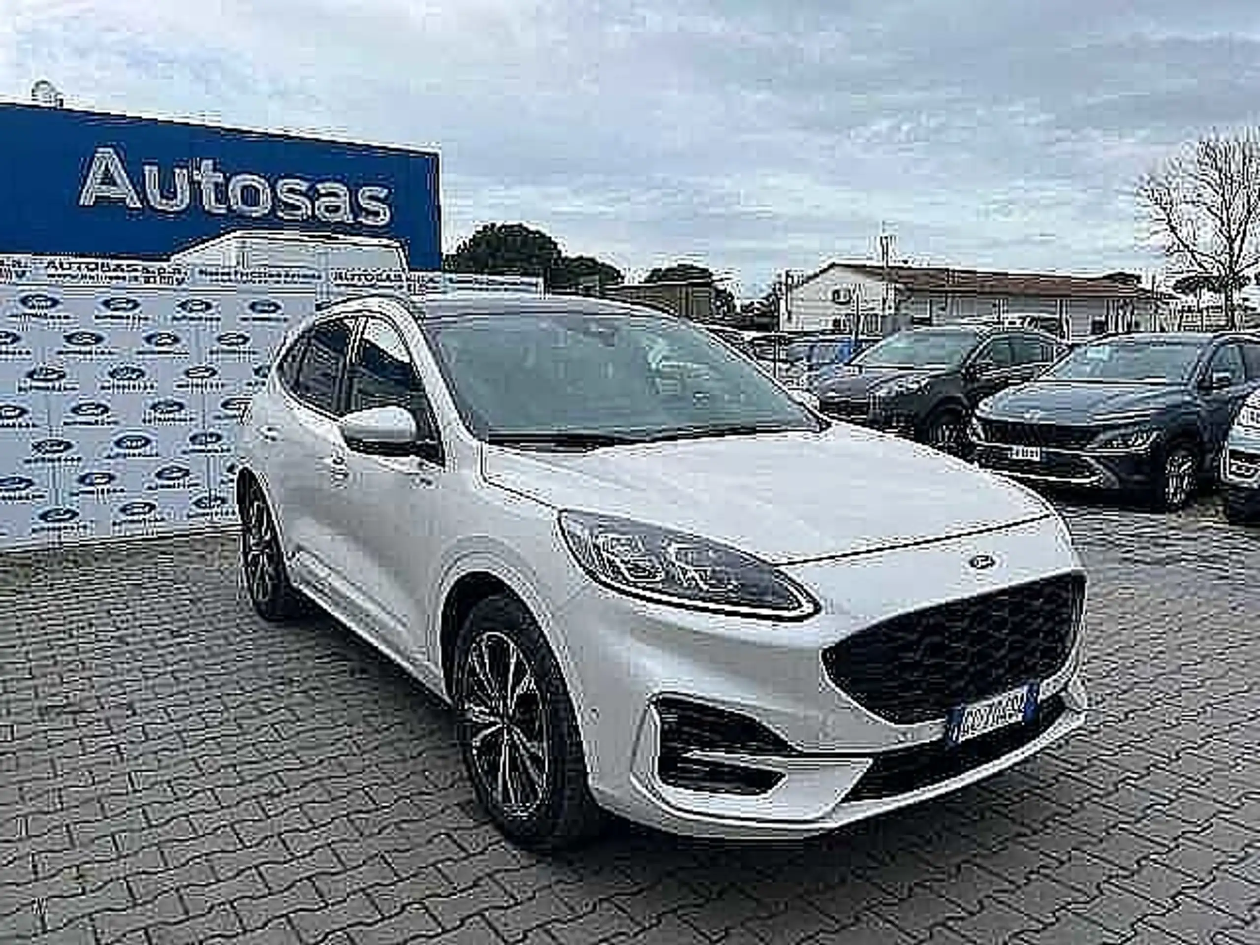 Ford - Kuga