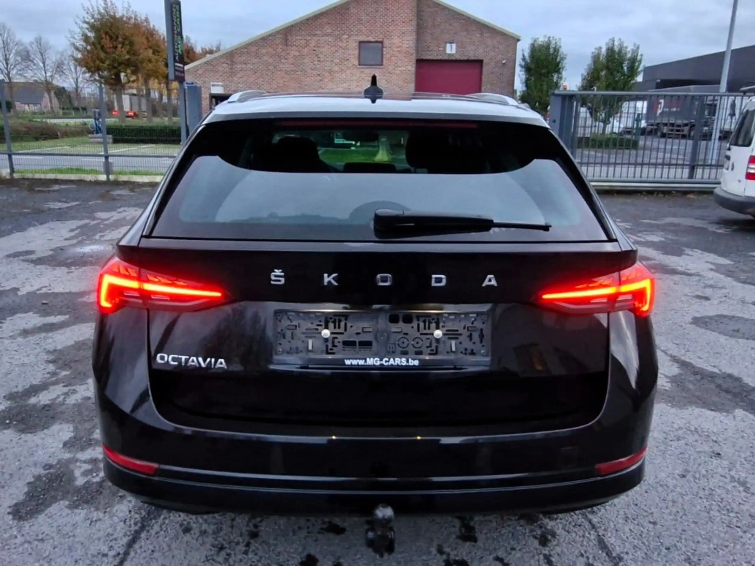 Skoda - Octavia