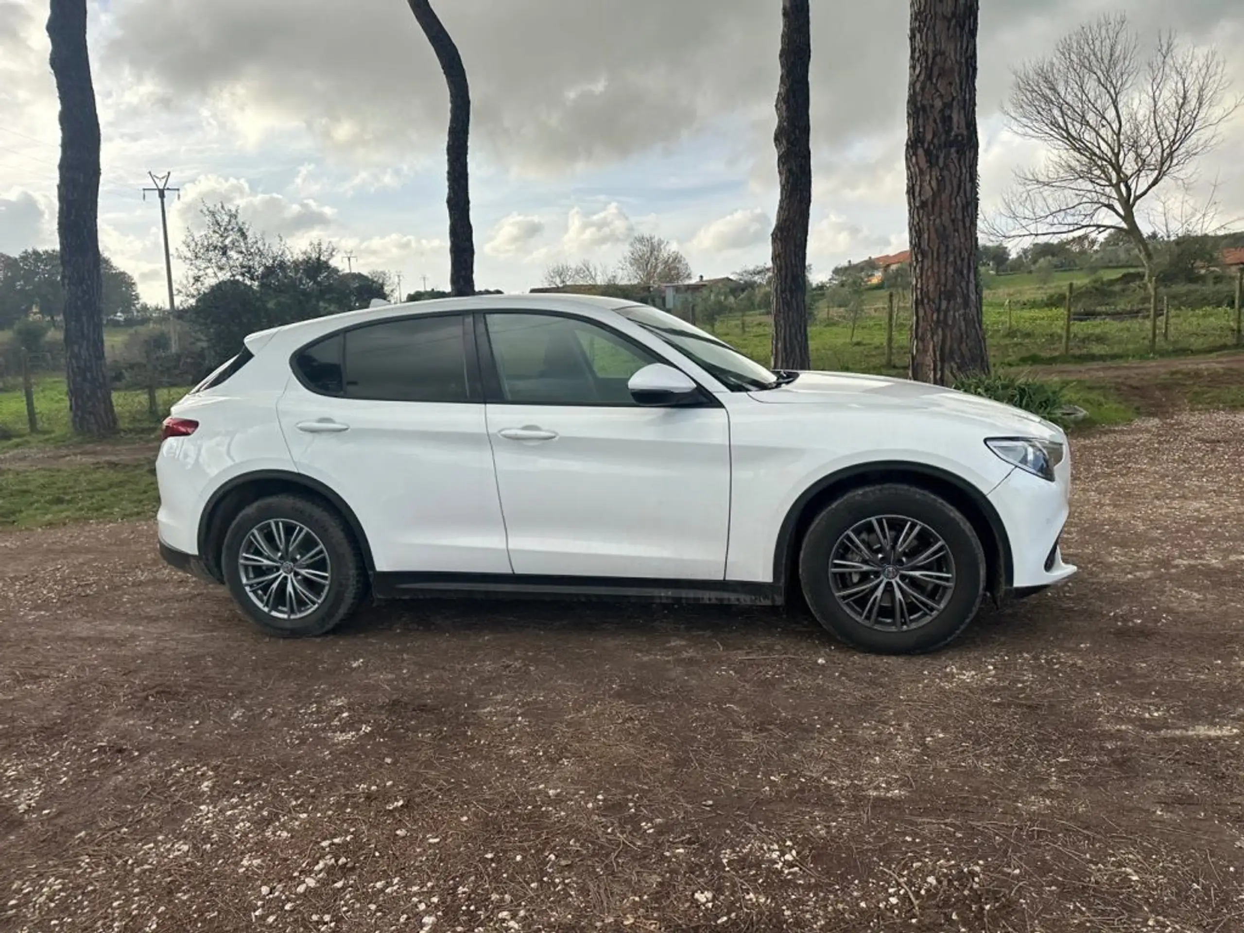 Alfa Romeo - Stelvio