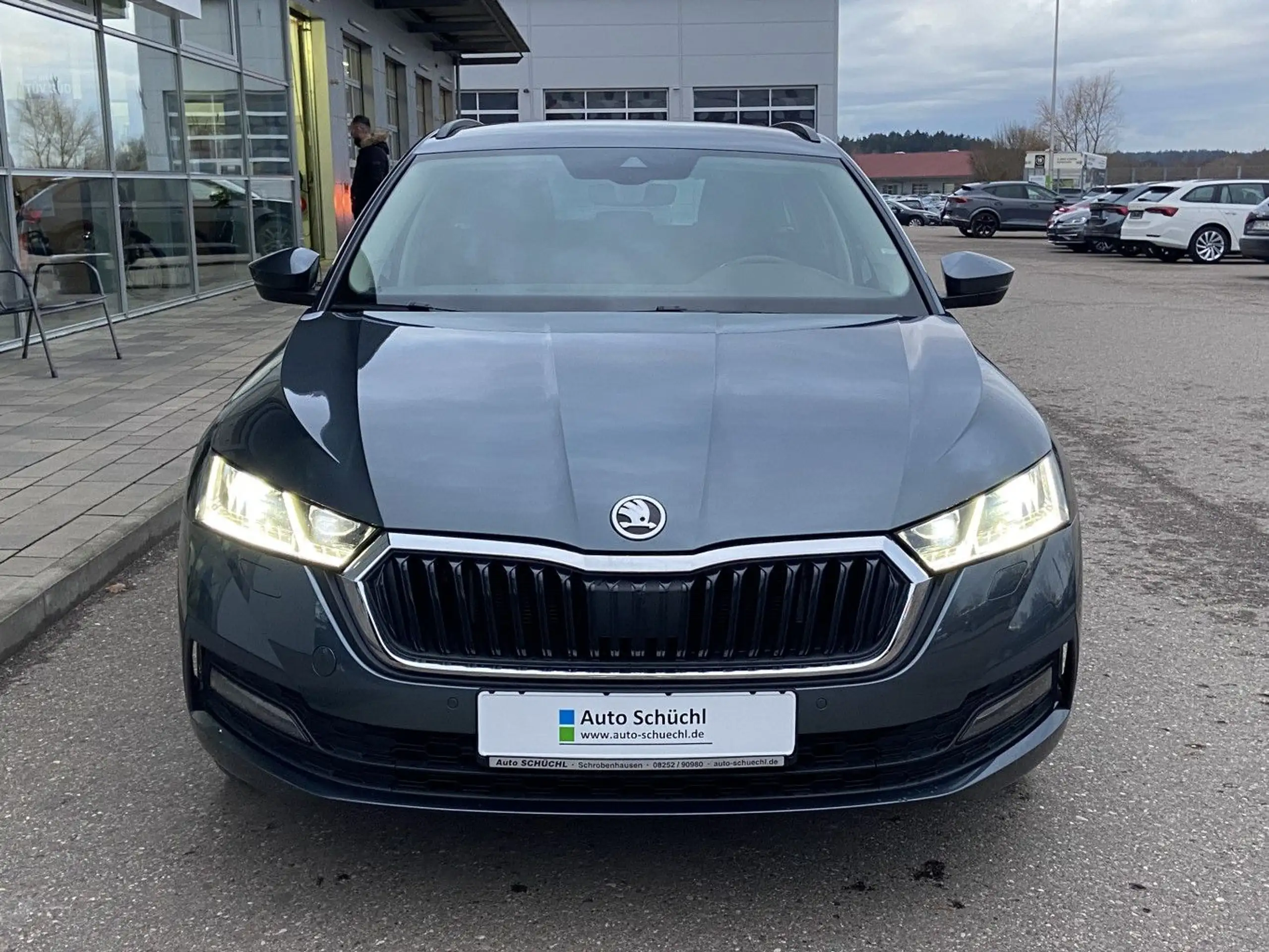 Skoda - Octavia