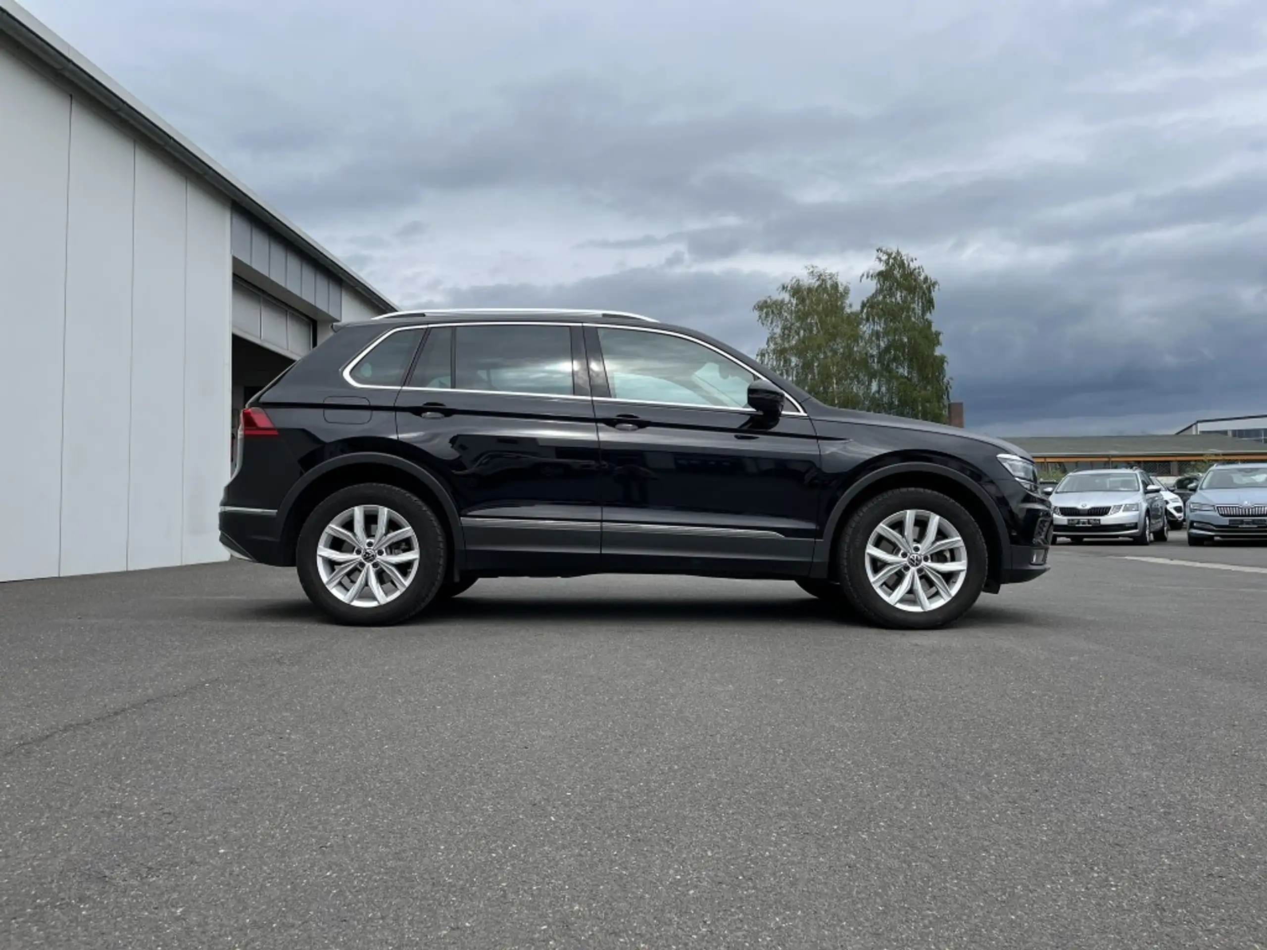 Volkswagen - Tiguan