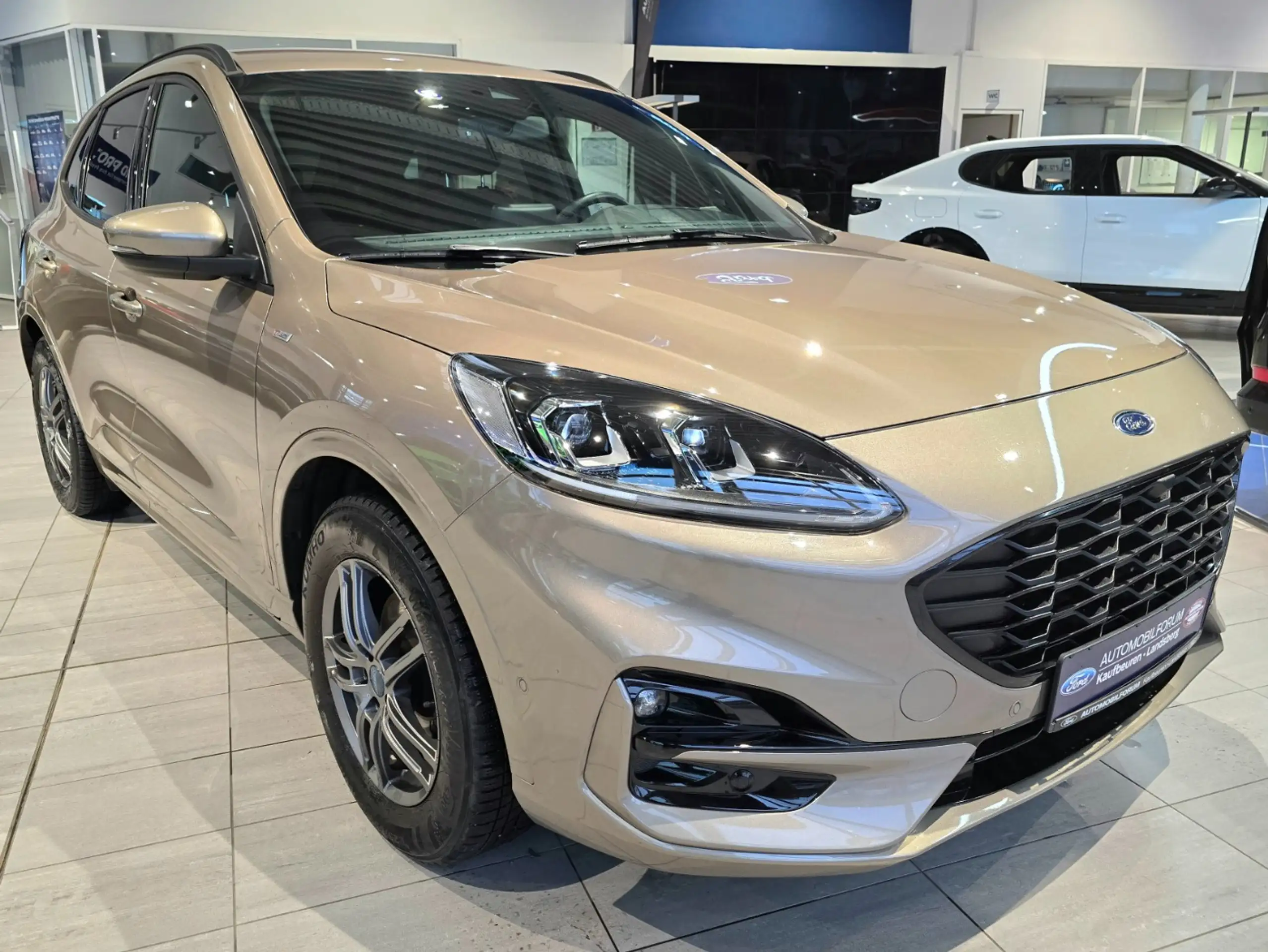 Ford - Kuga