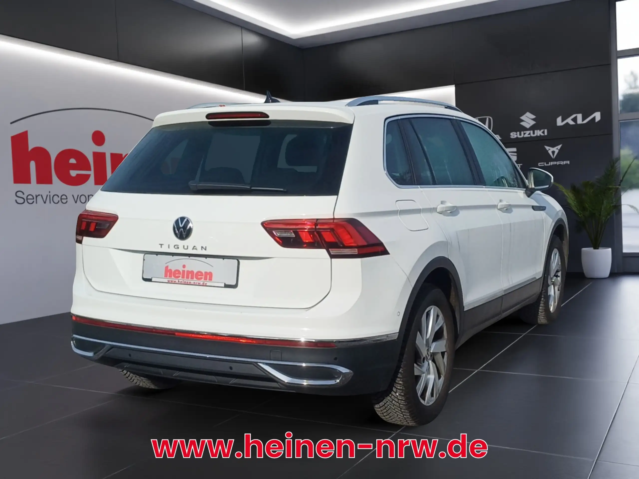 Volkswagen - Tiguan