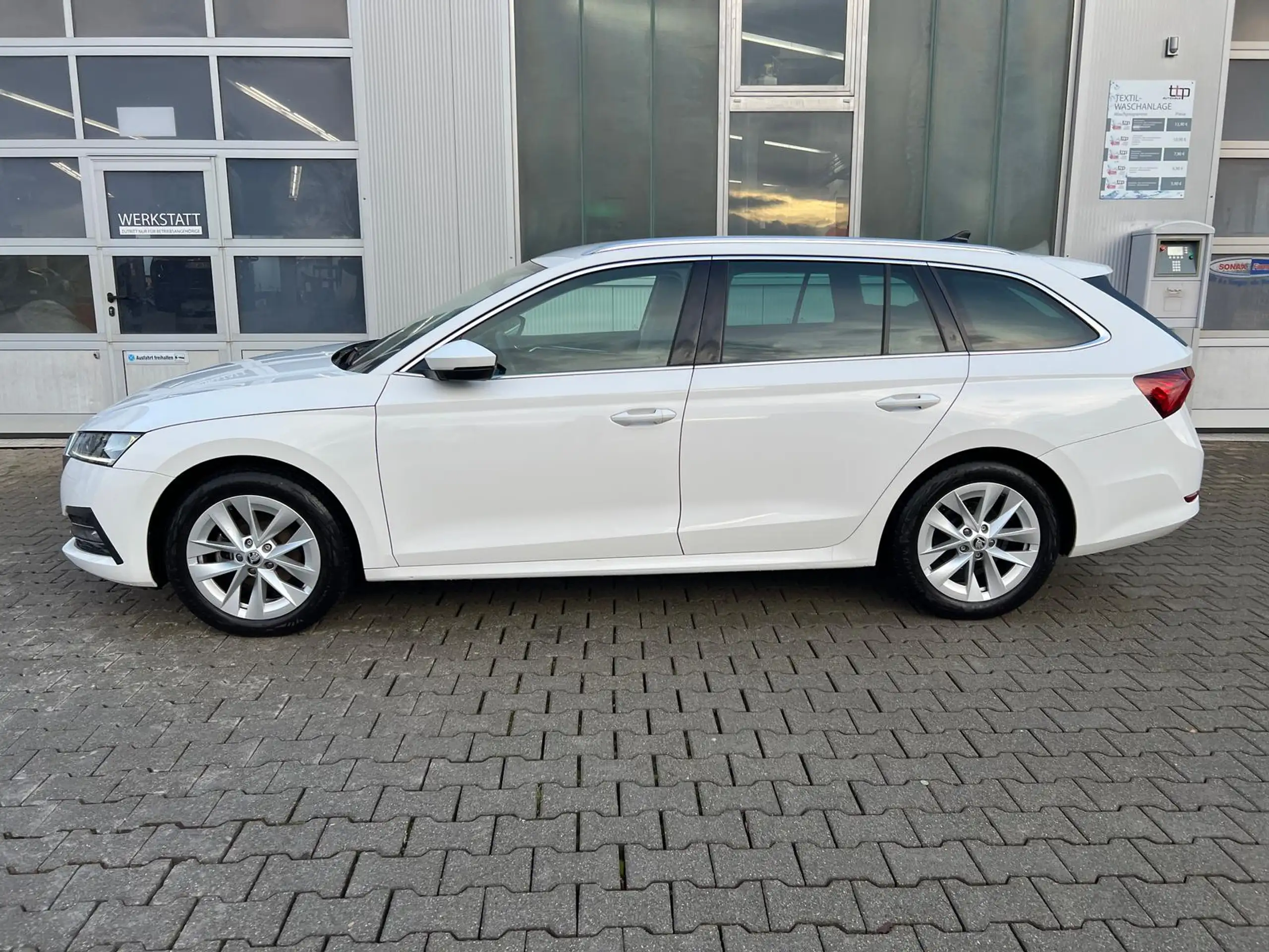 Skoda - Octavia