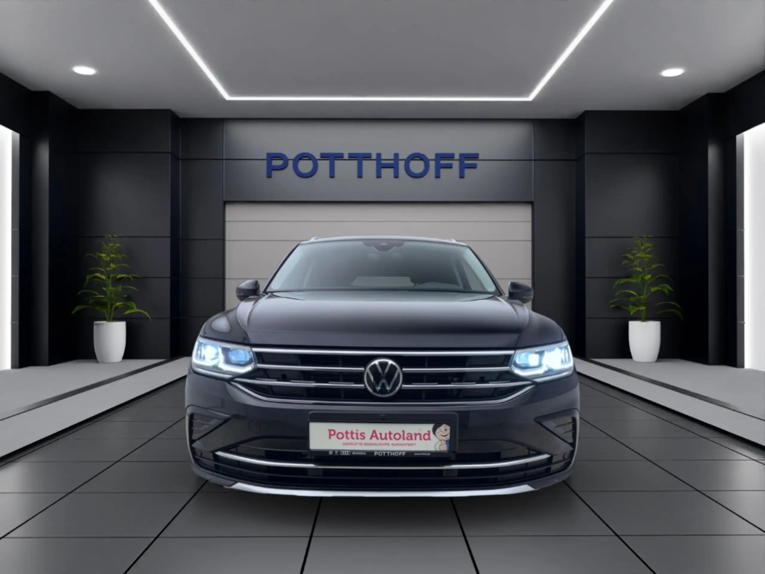 Volkswagen - Tiguan