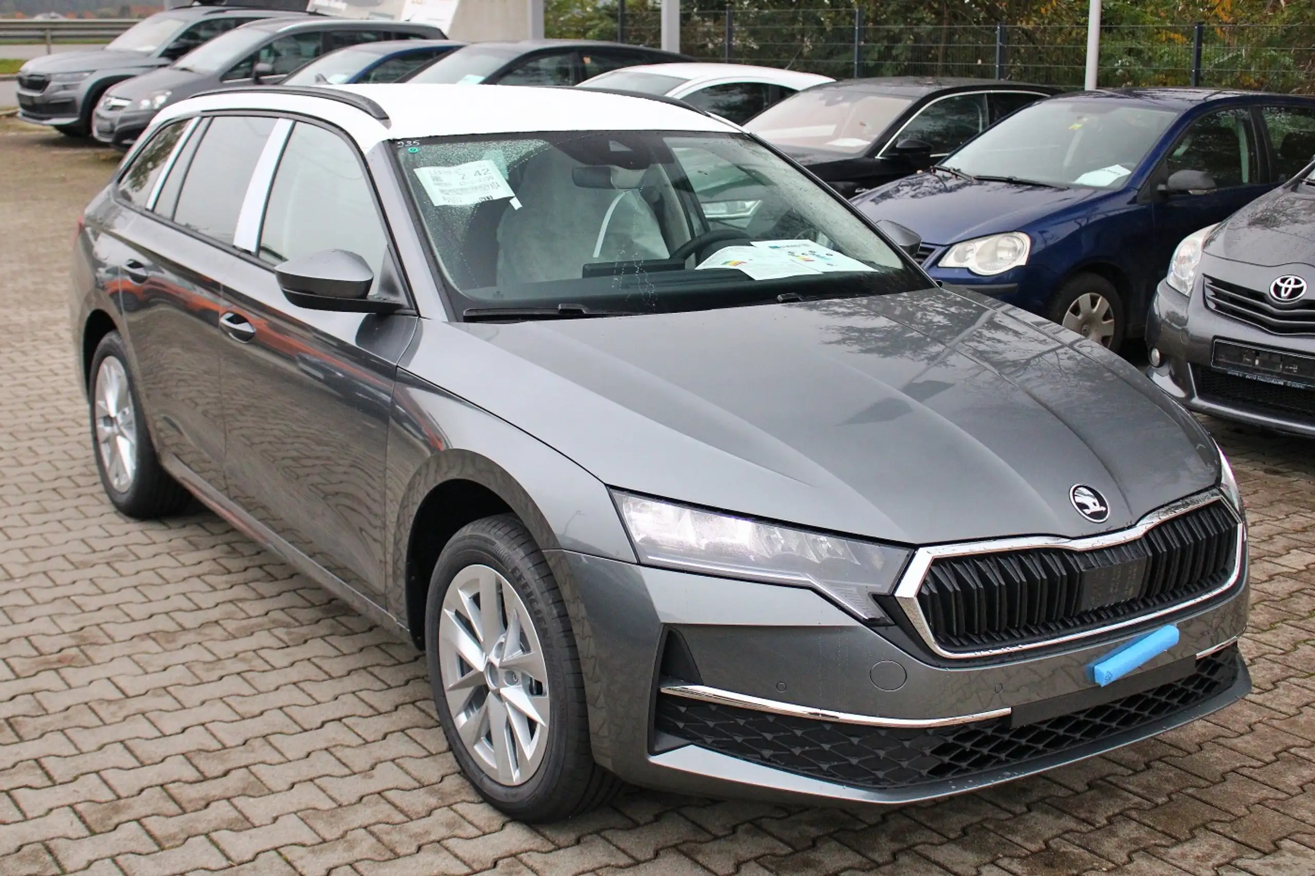 Skoda - Octavia