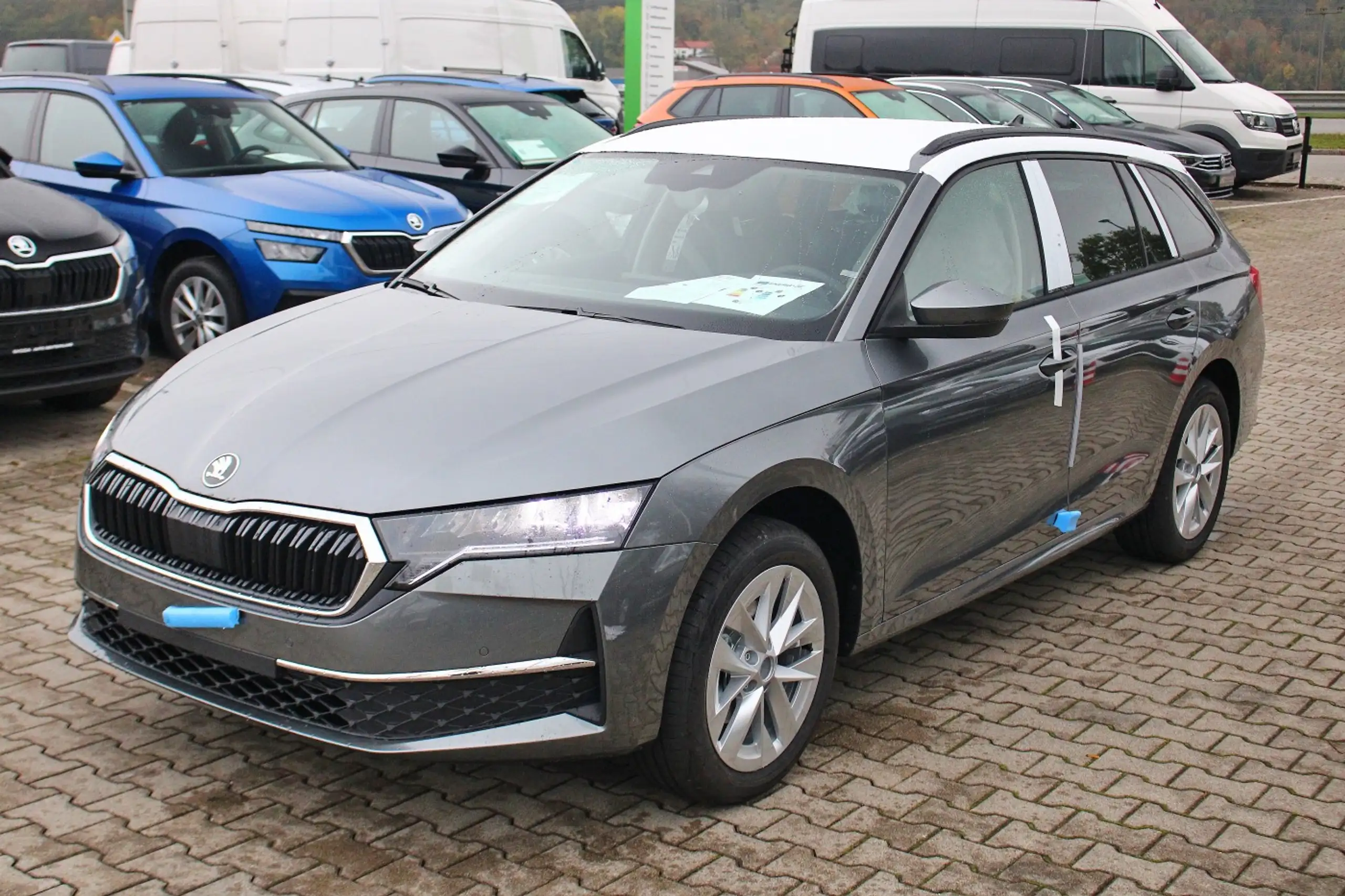 Skoda - Octavia