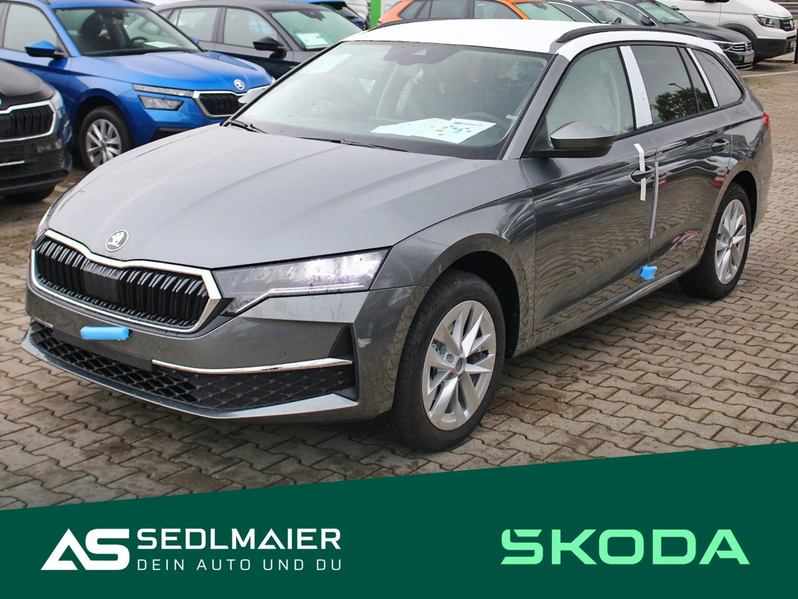 Skoda - Octavia