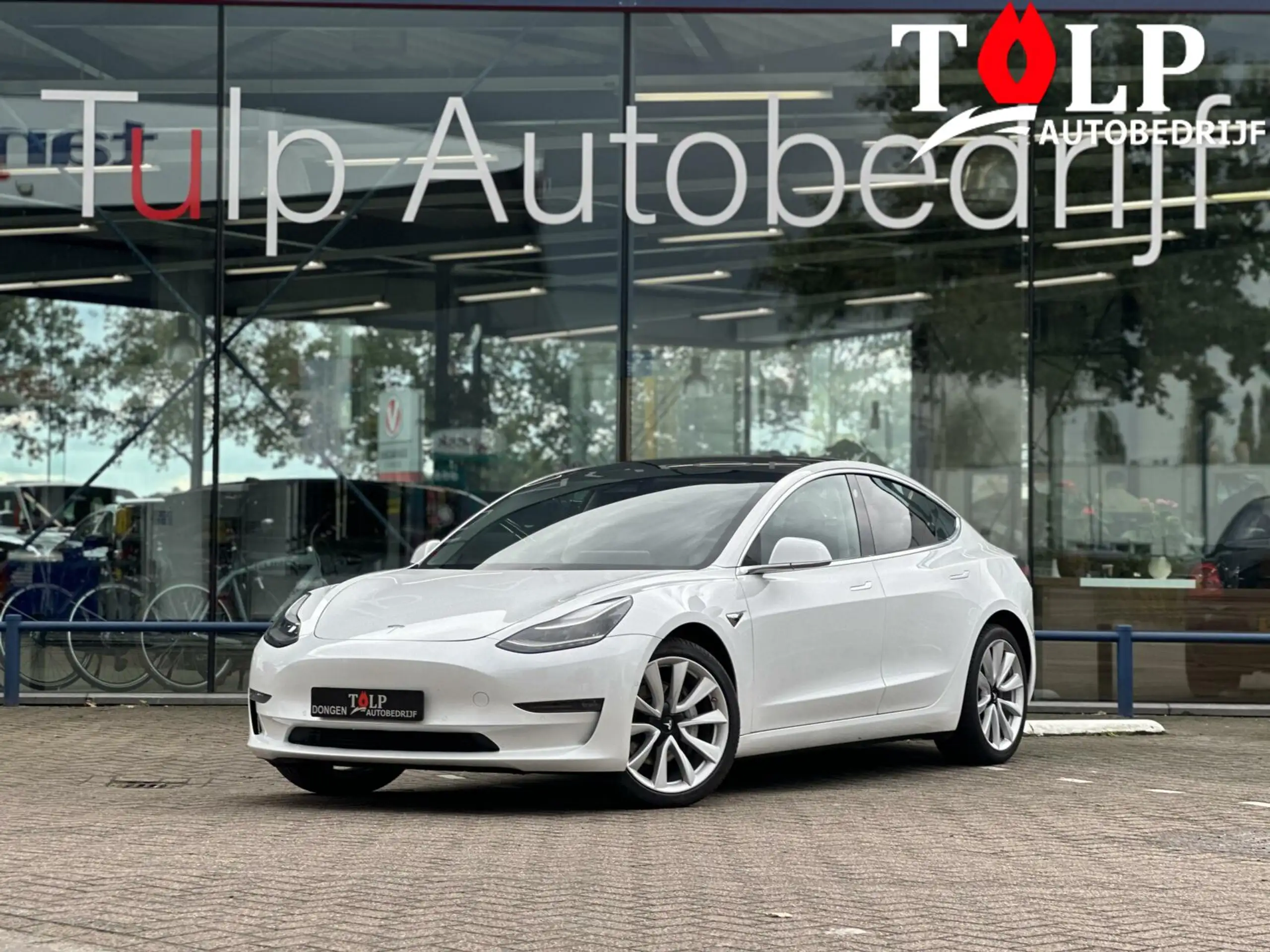 Tesla Model 3 2019