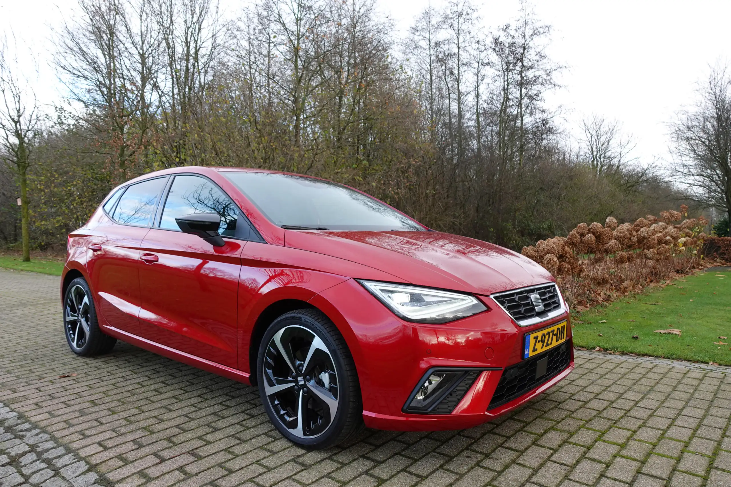 SEAT - Ibiza