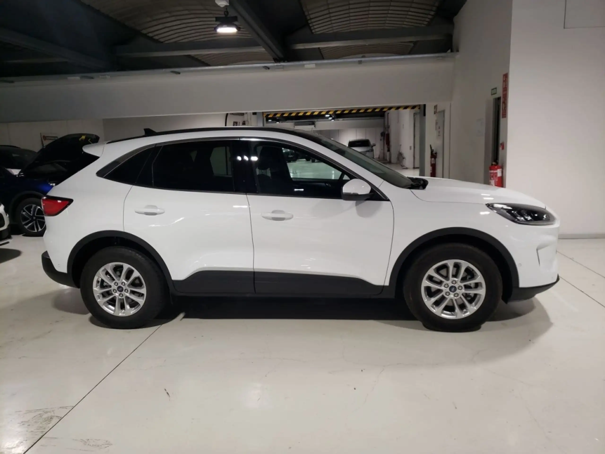 Ford - Kuga