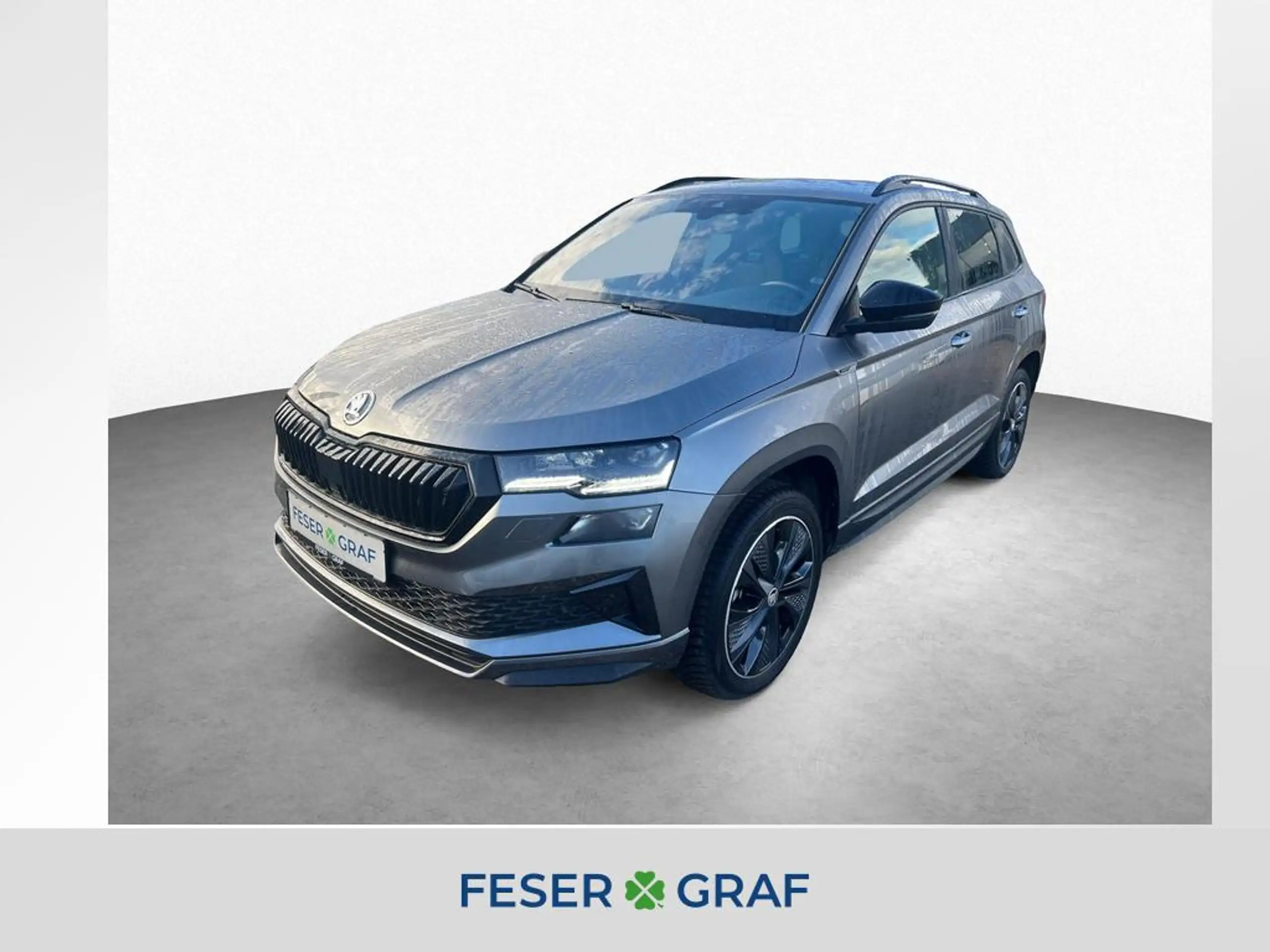 Skoda - Karoq