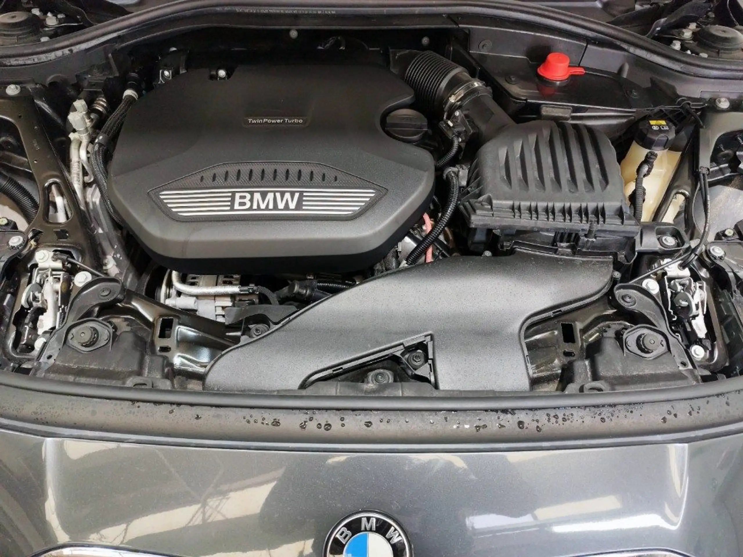 BMW - 116