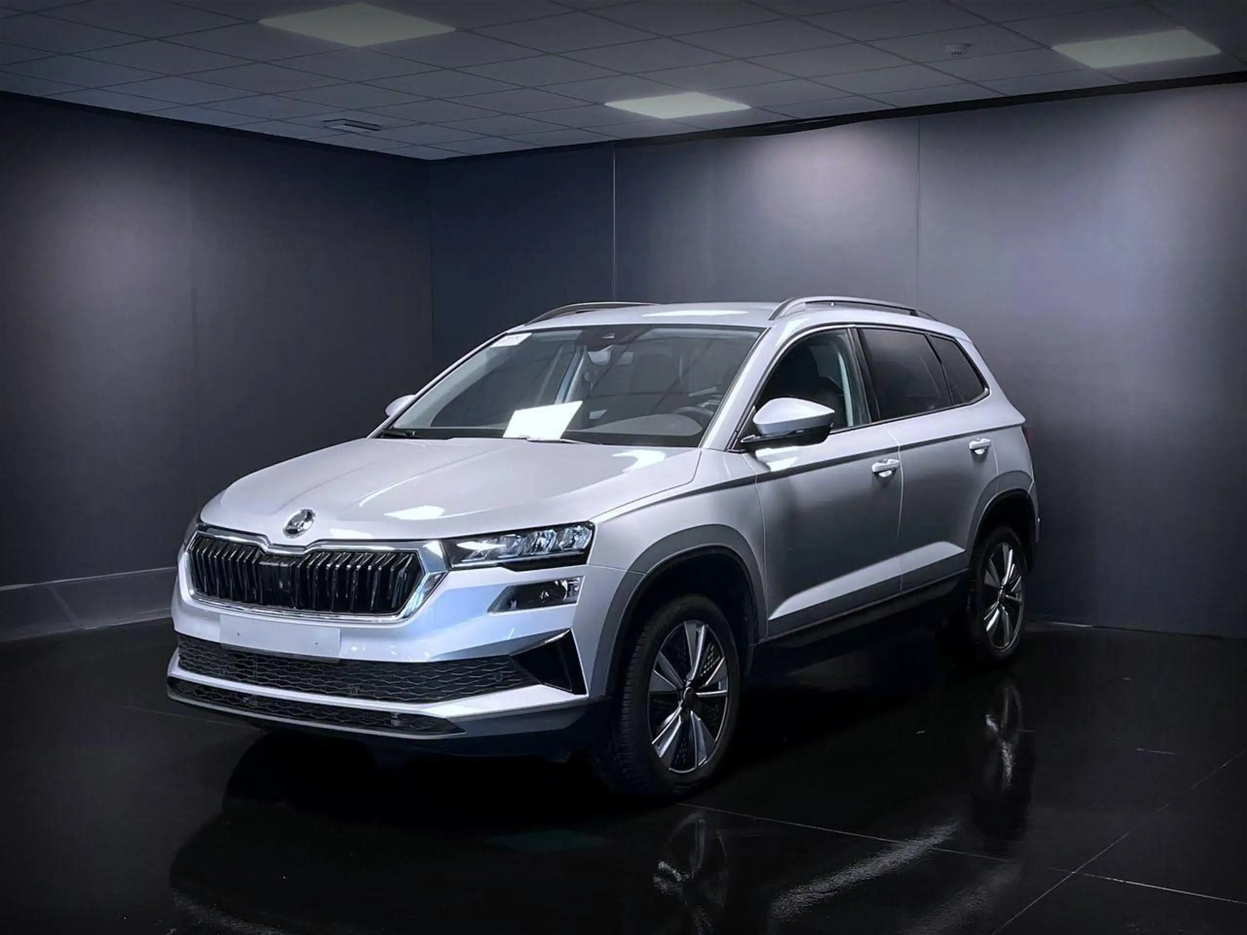 Skoda - Karoq