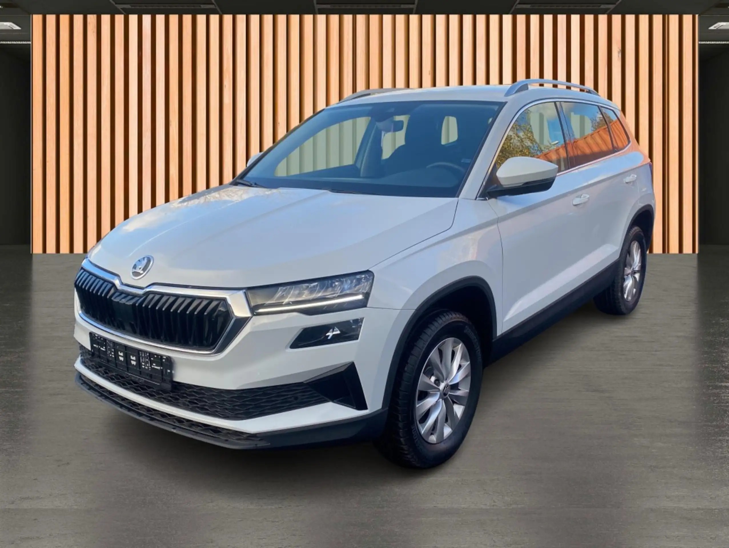 Skoda - Karoq