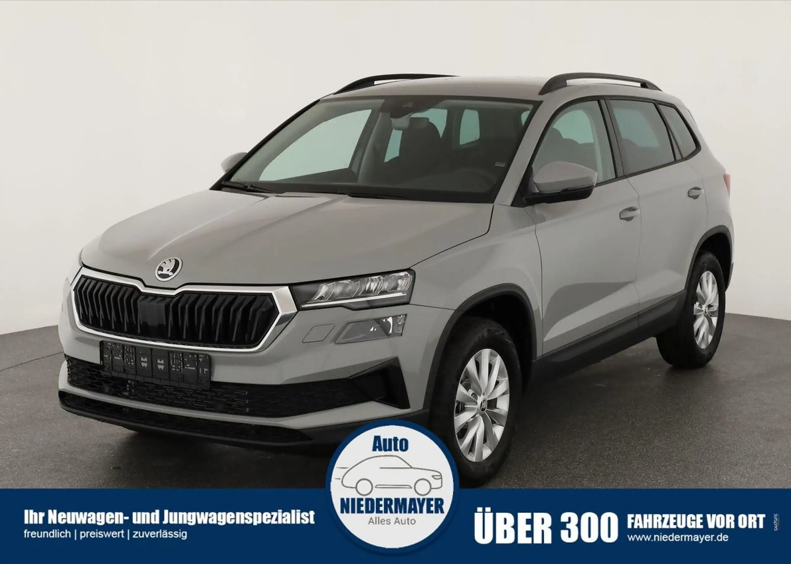 Skoda - Karoq