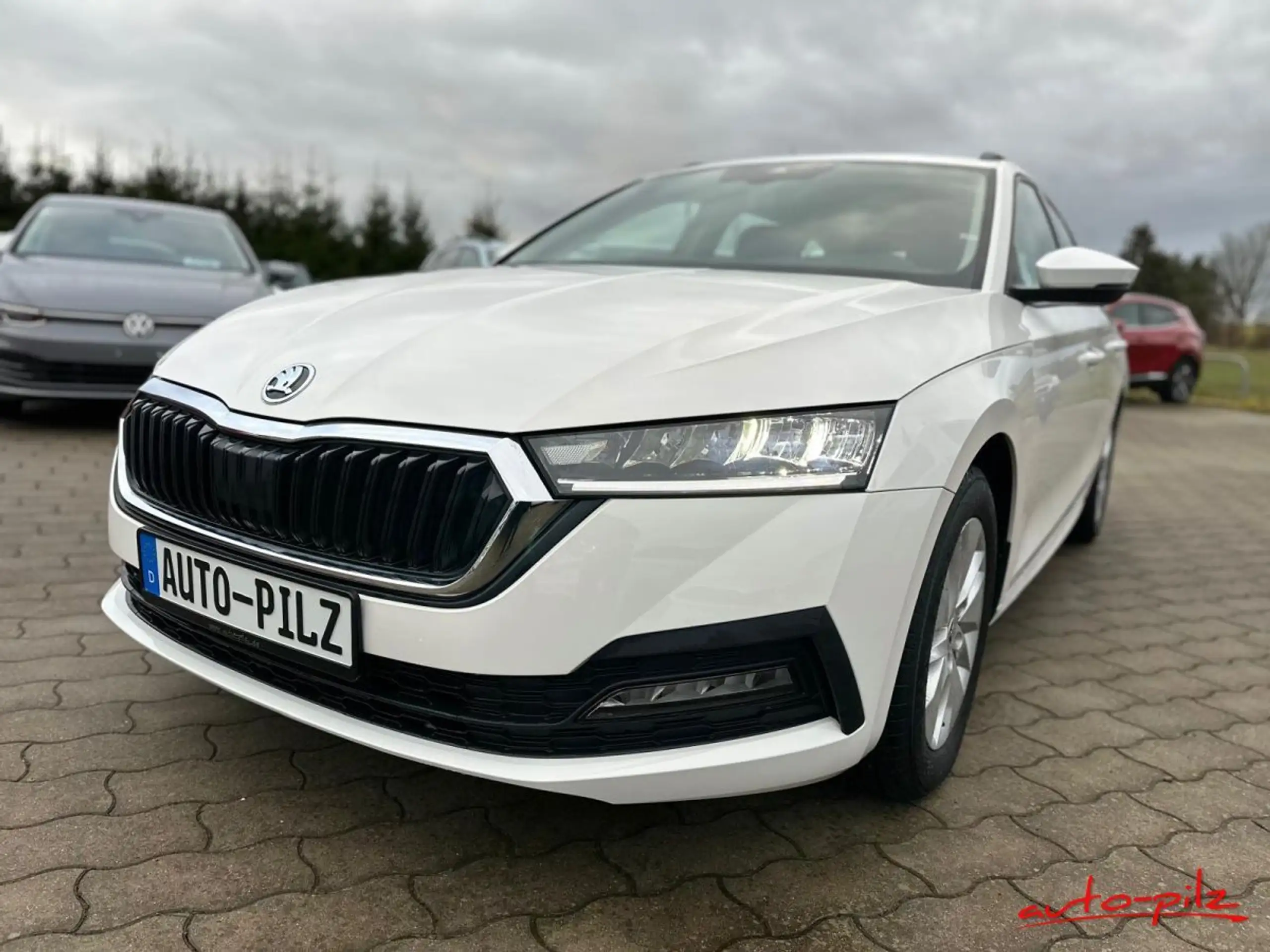 Skoda - Octavia