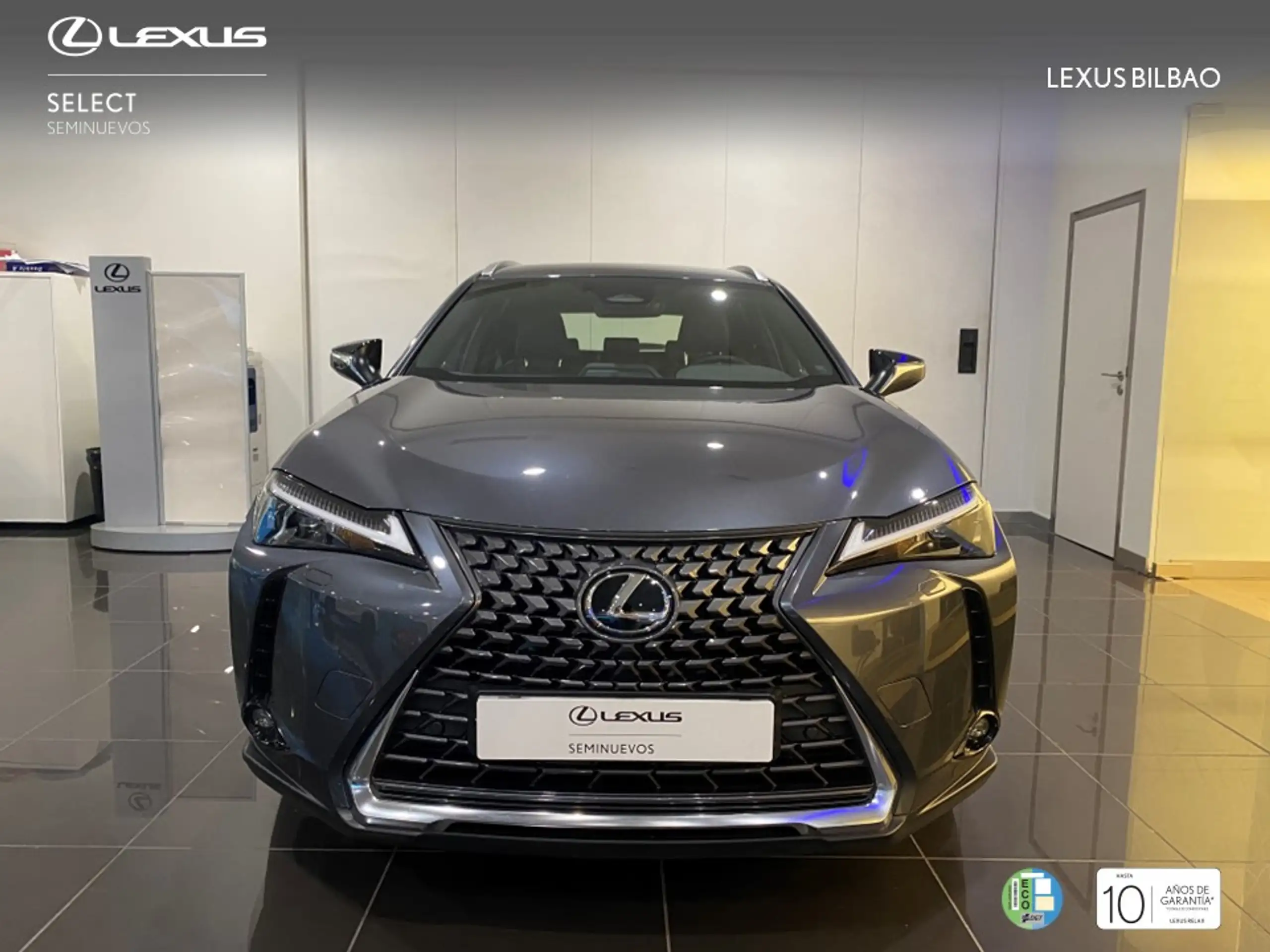 Lexus - UX 300h