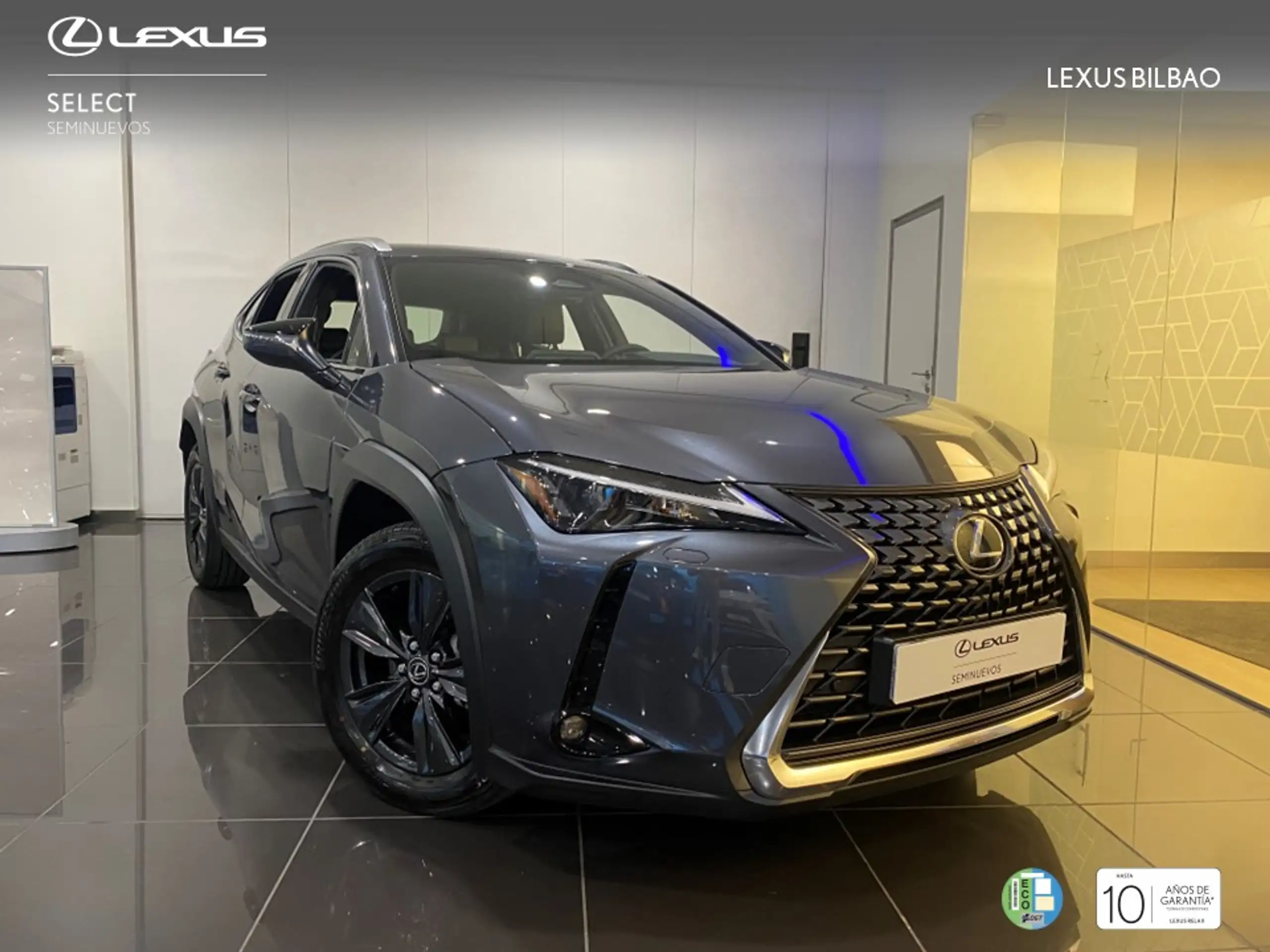 Lexus - UX 300h