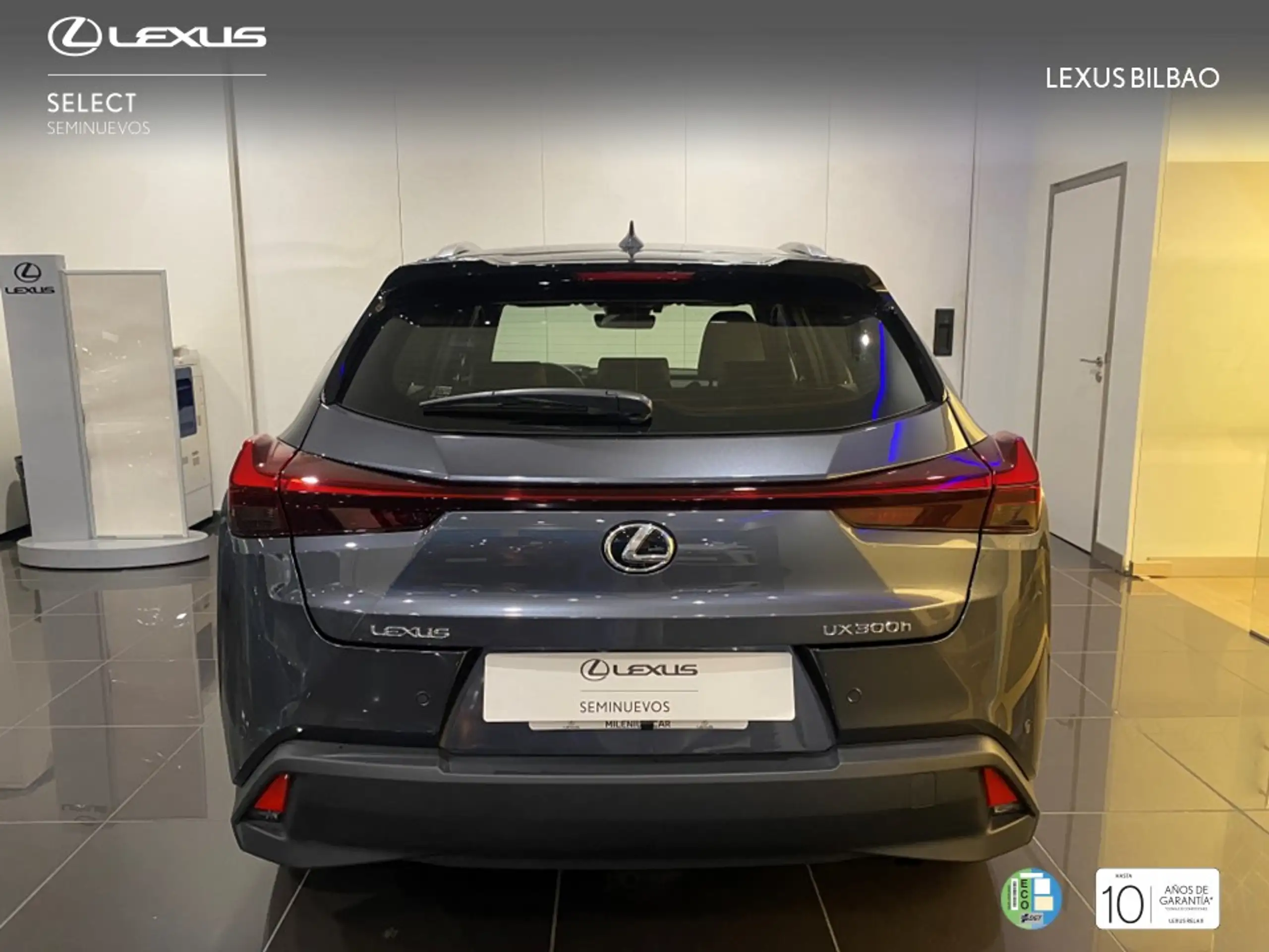 Lexus - UX 300h