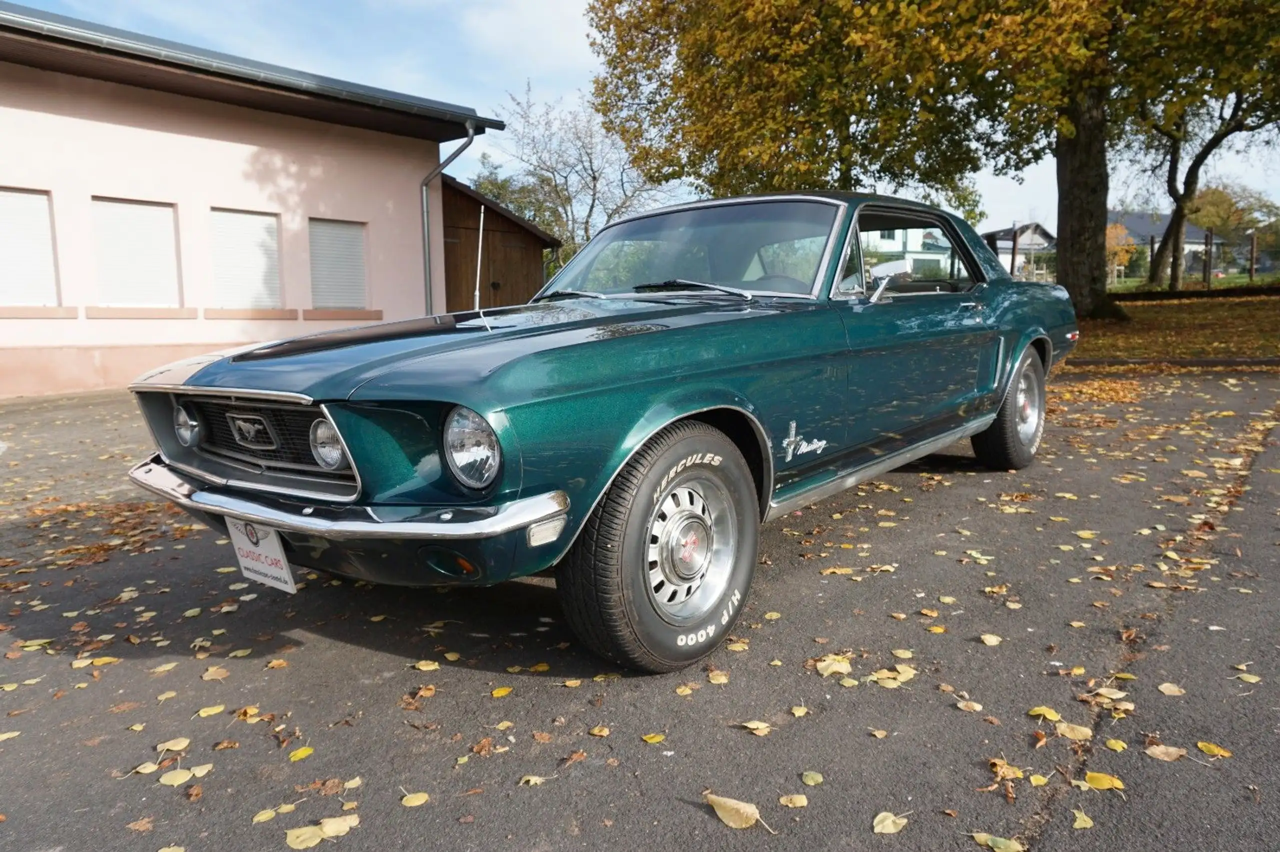 Ford - Mustang