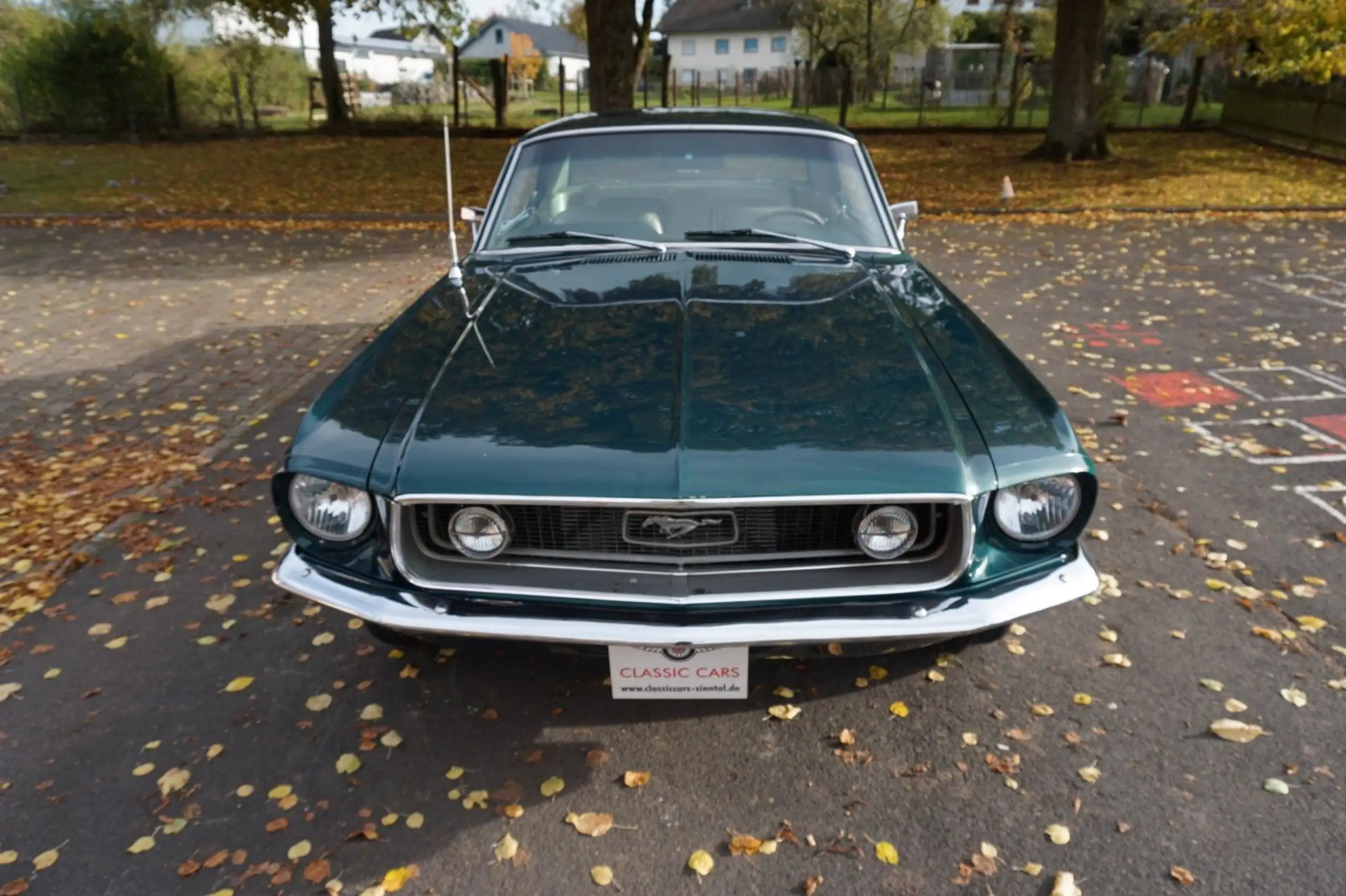 Ford - Mustang